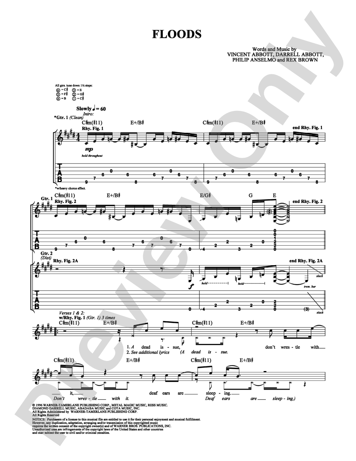 Floods: Guitar TAB Digital Sheet Music