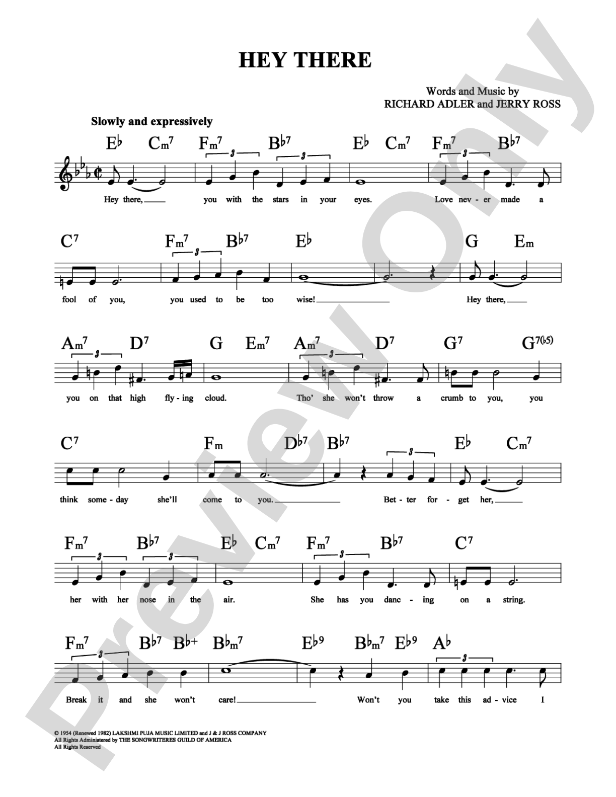 Hey There: Lead Sheet Digital Sheet Music