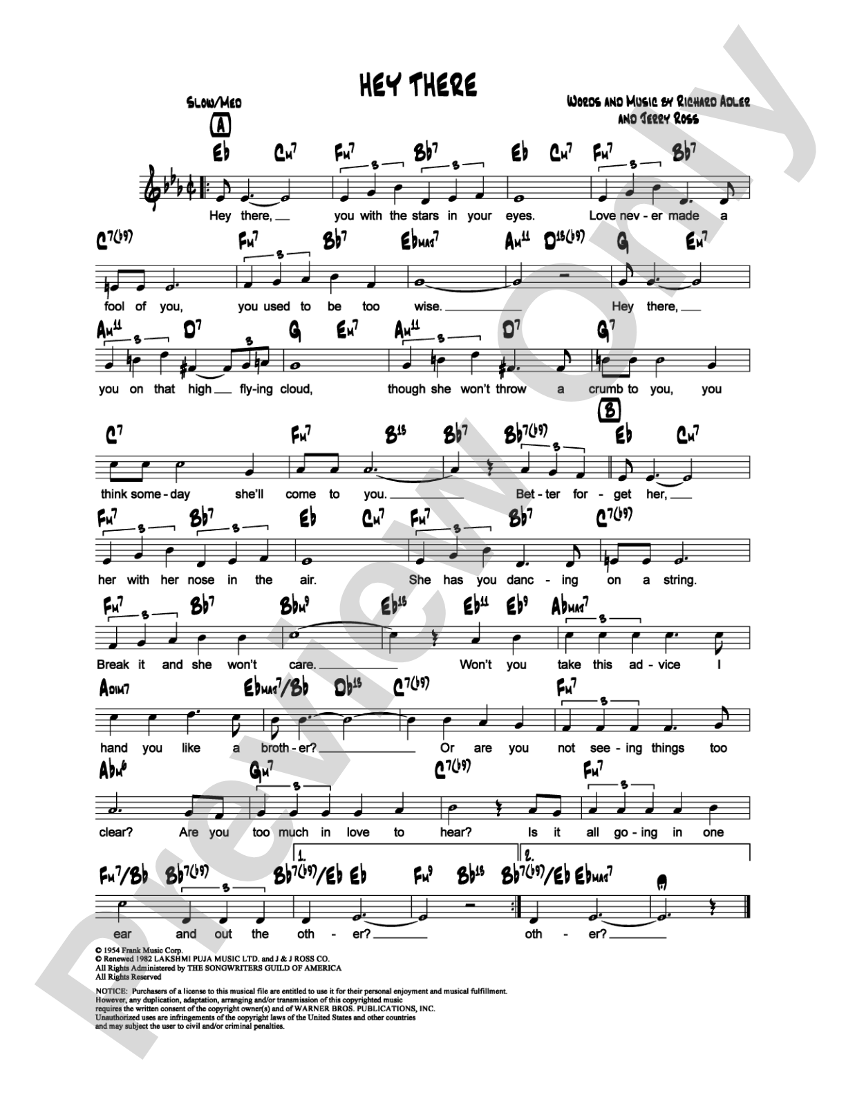Hey There: Lead Sheet Digital Sheet Music
