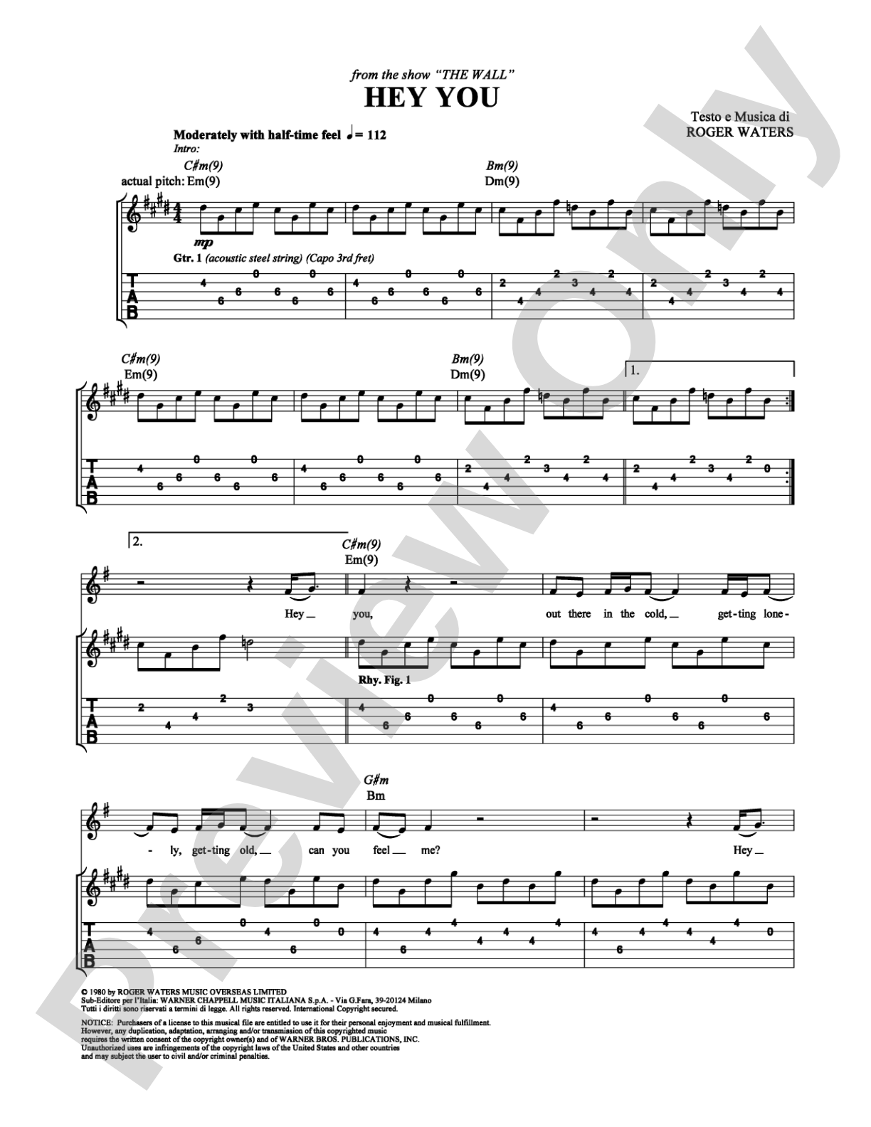 Hey You: Guitar TAB Digital Sheet Music