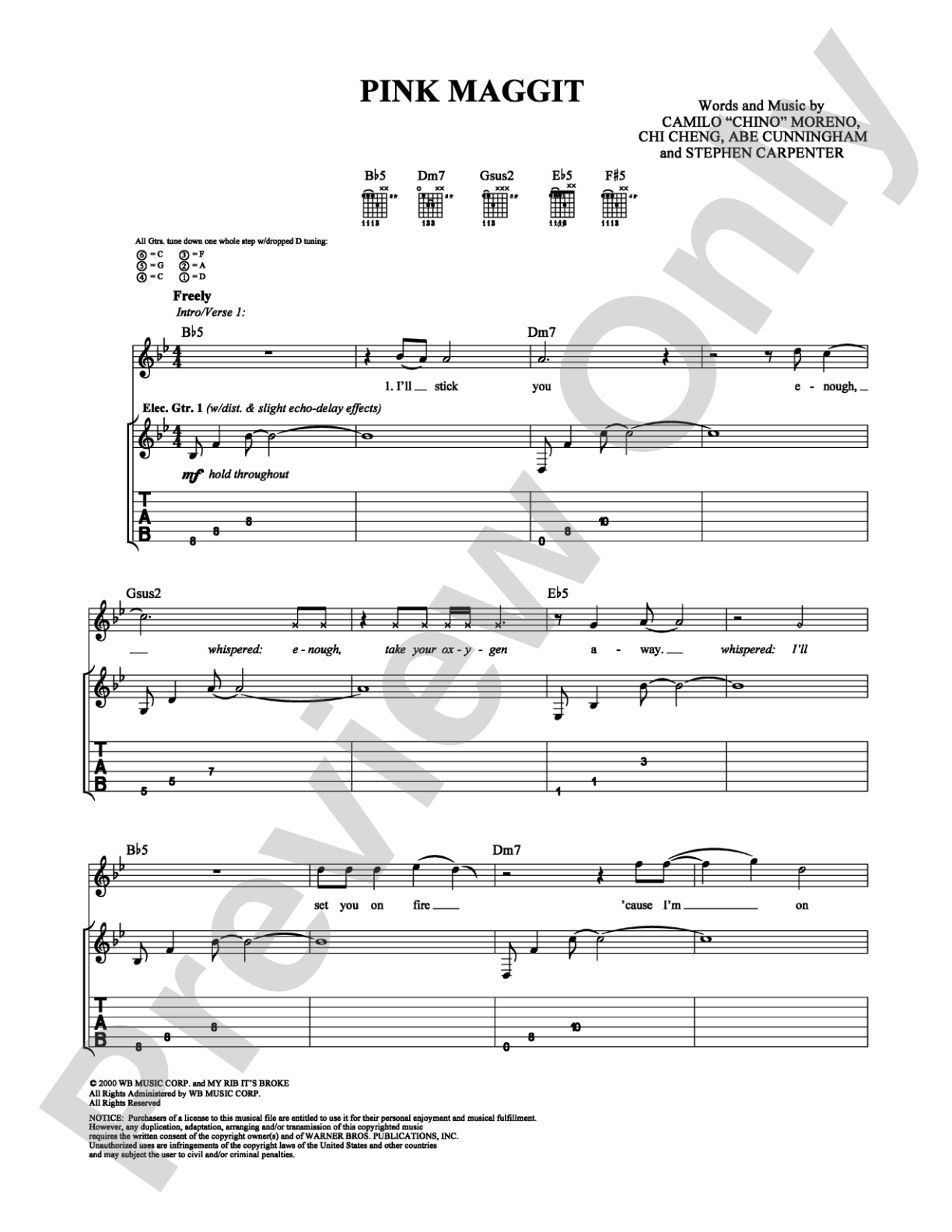 Pink Maggit: Guitar TAB Digital Sheet Music