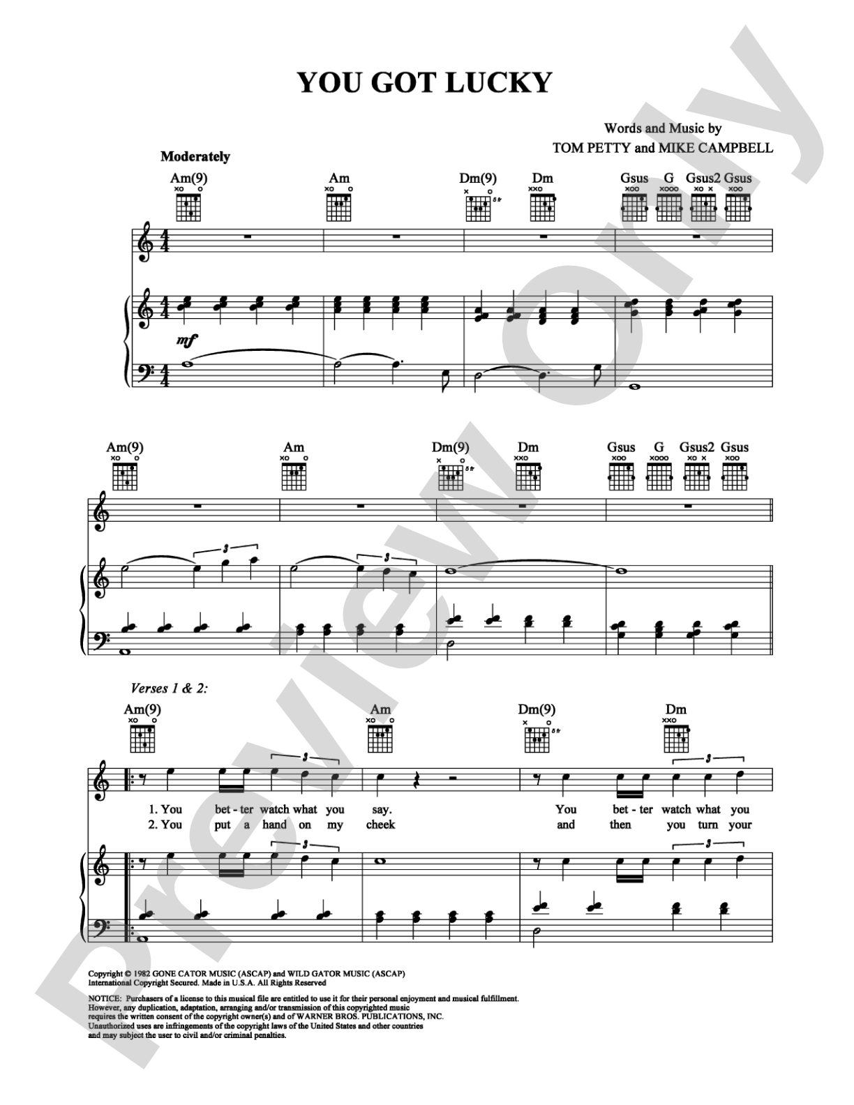 You Got Lucky: Piano/Vocal/Chords Digital Sheet Music