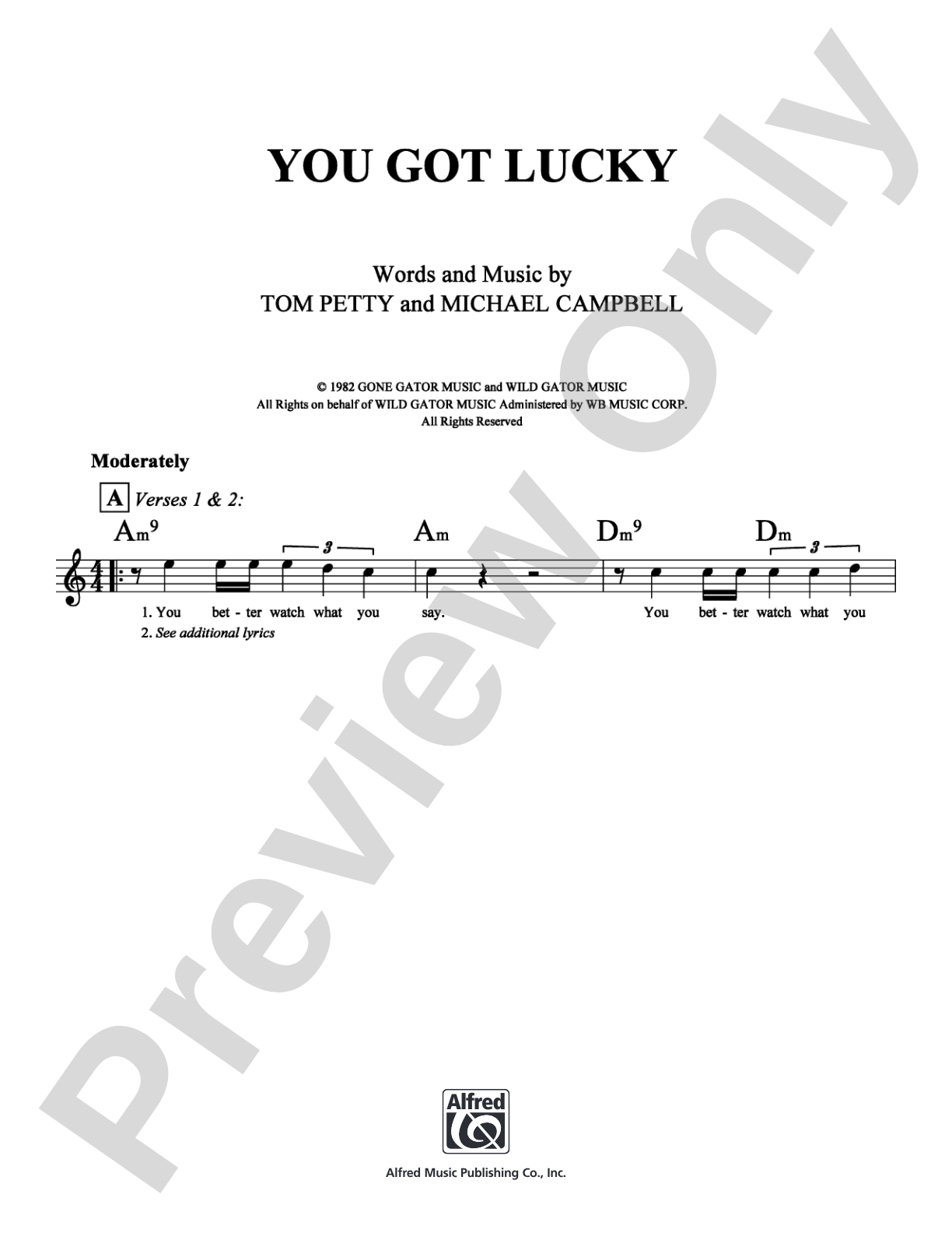 You Got Lucky: Lead Sheet Digital Sheet Music