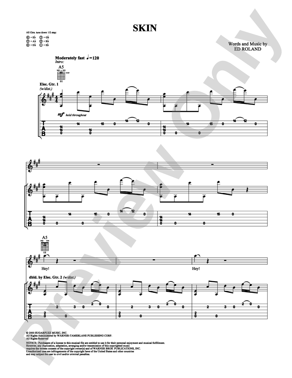 Skin: Guitar TAB Digital Sheet Music