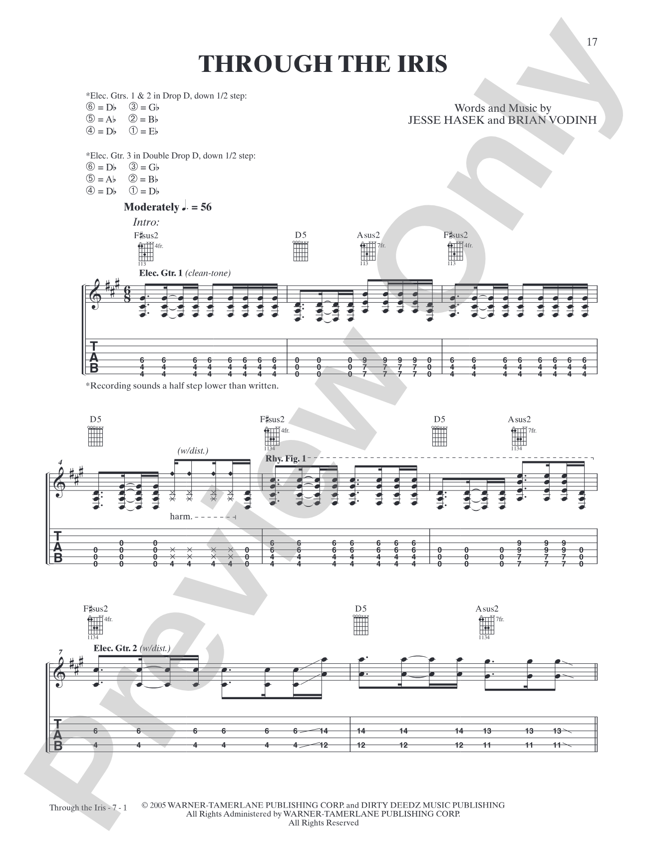 Through the Iris: Authentic Guitar TAB