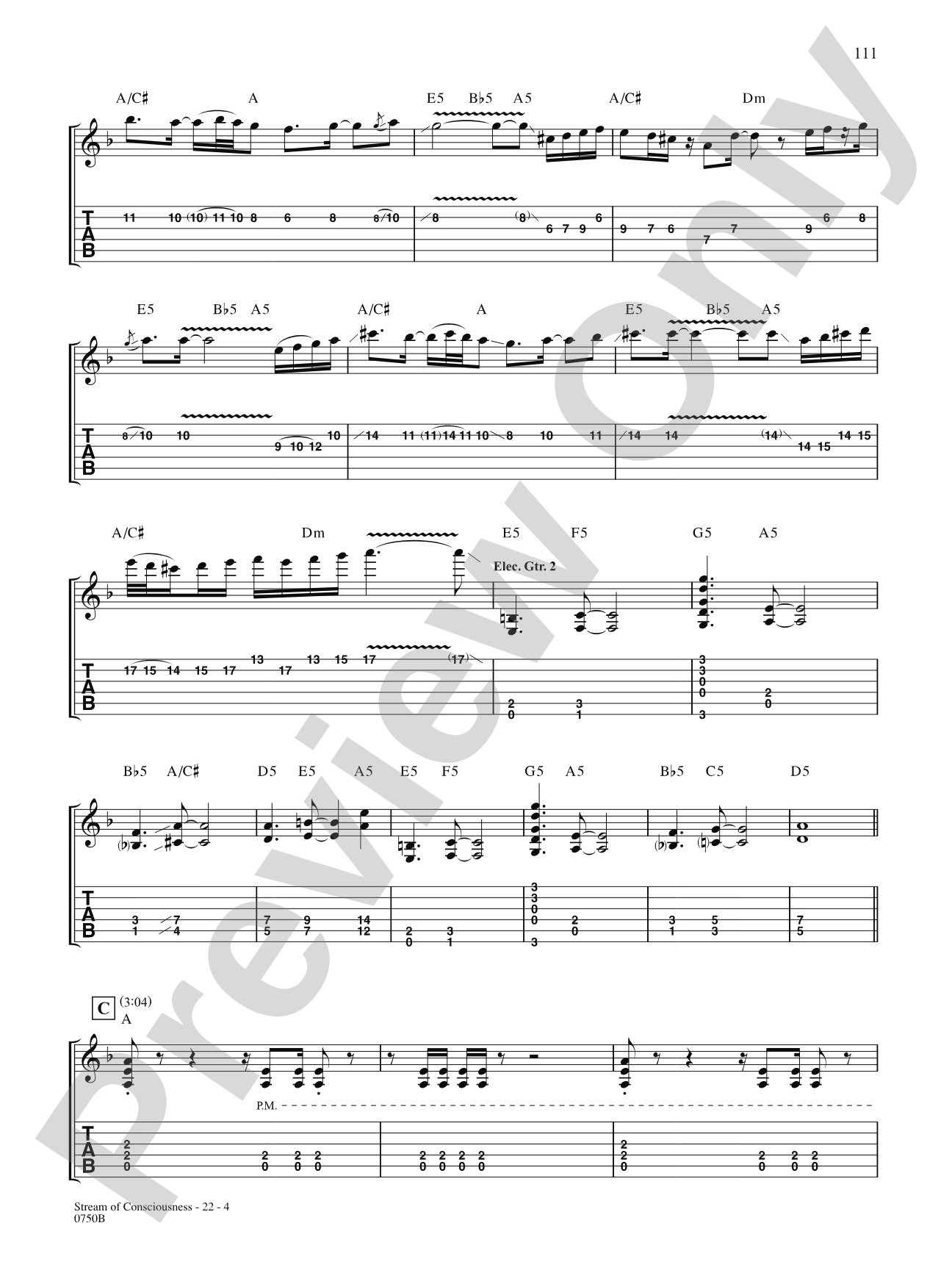 Stream of Consciousness: Authentic Guitar TAB