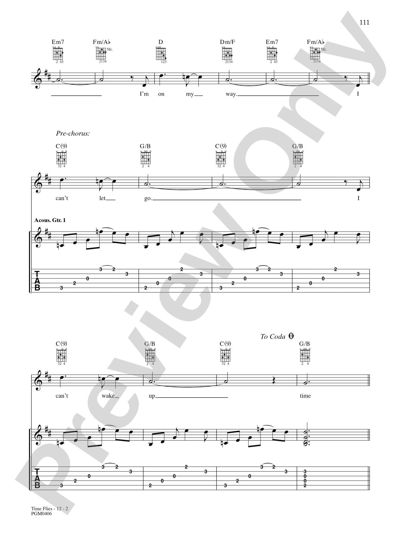 Time Flies: Authentic Guitar TAB