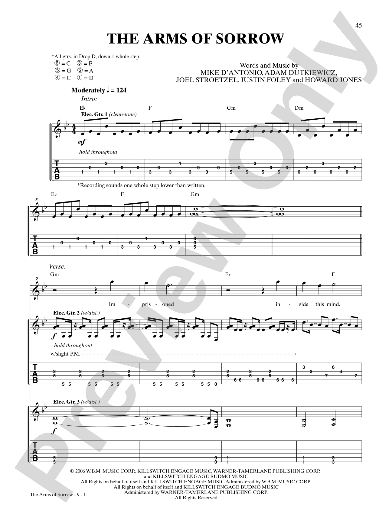 The Arms of Sorrow: Authentic Guitar TAB