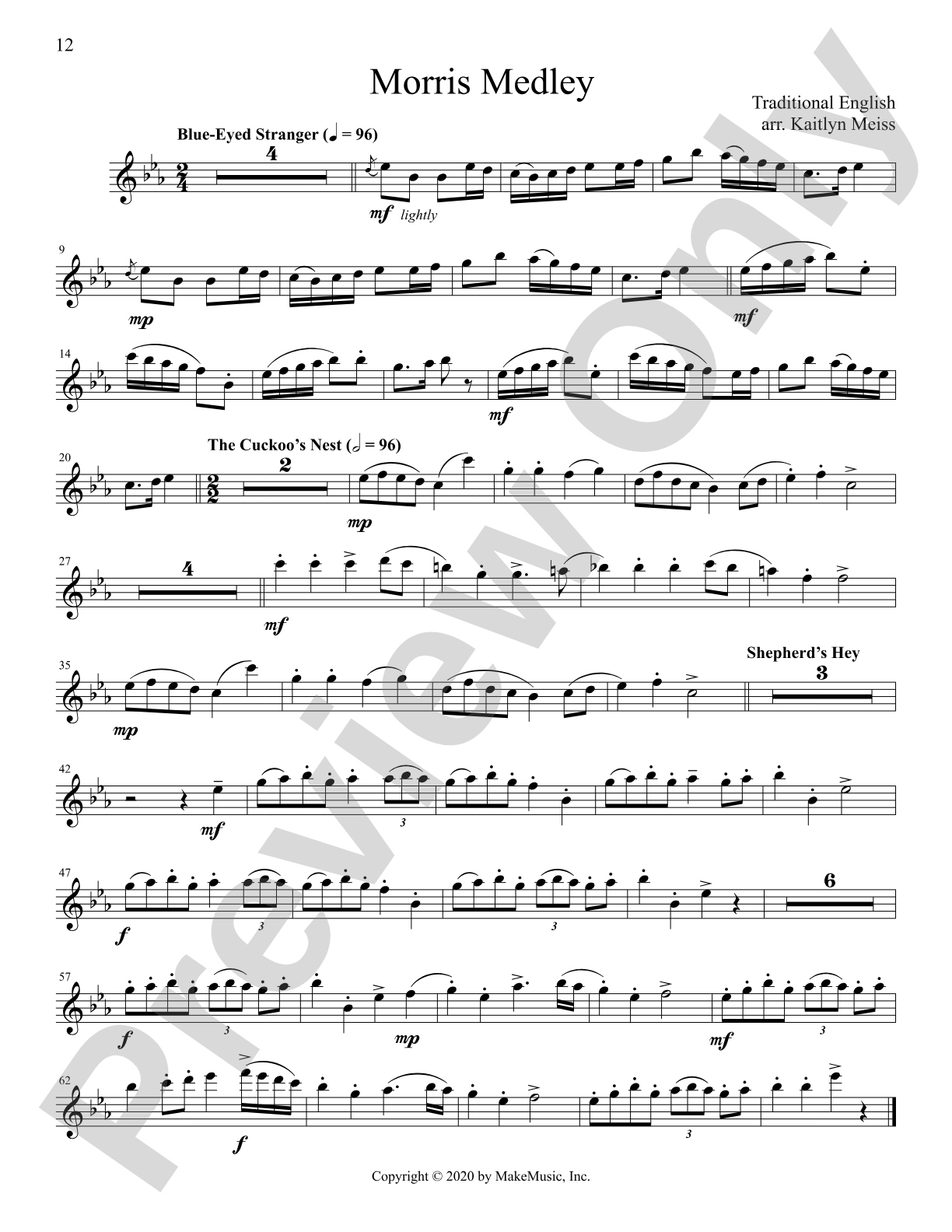 The Progressing Flute Soloist: Solo & Small Ensemble