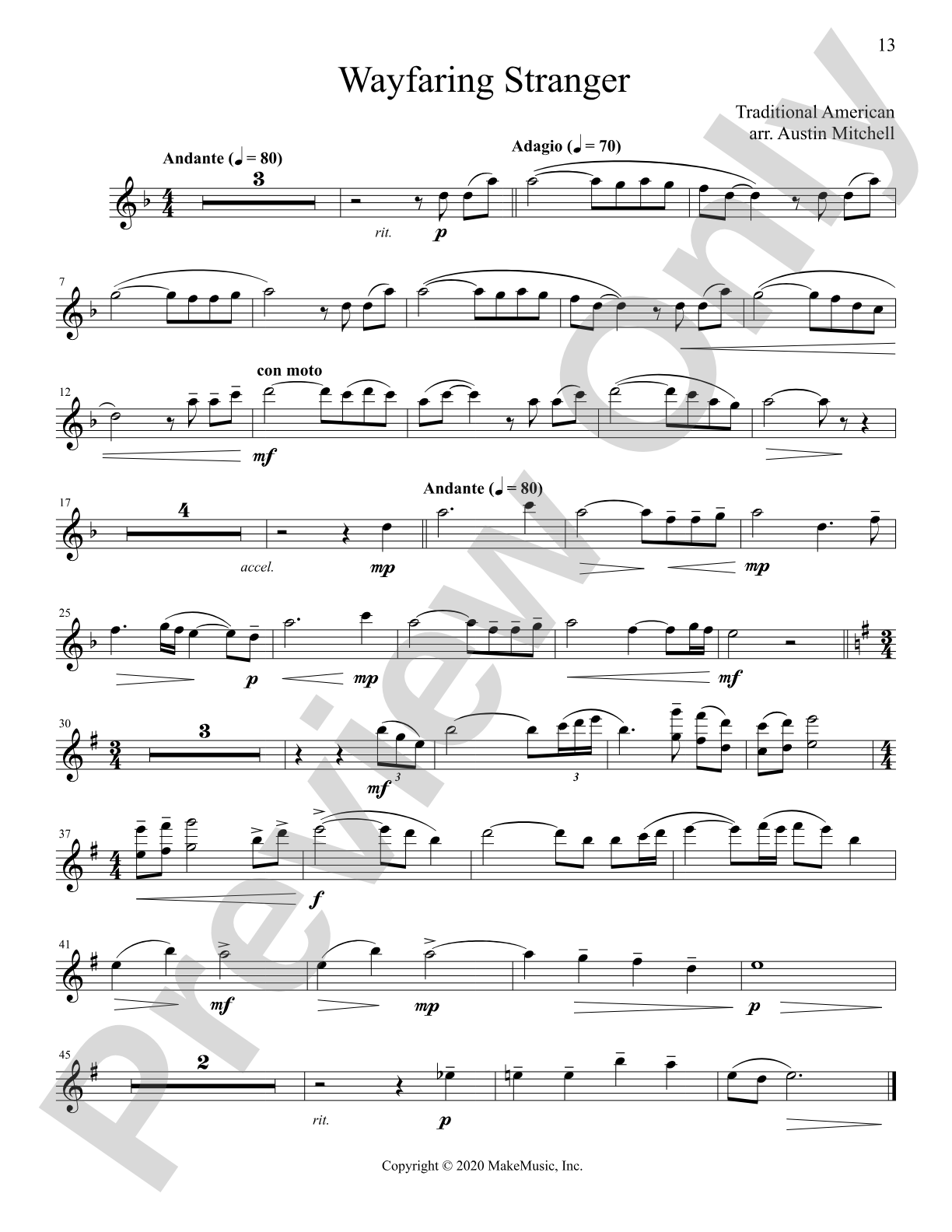 The Progressing Flute Soloist: Solo & Small Ensemble