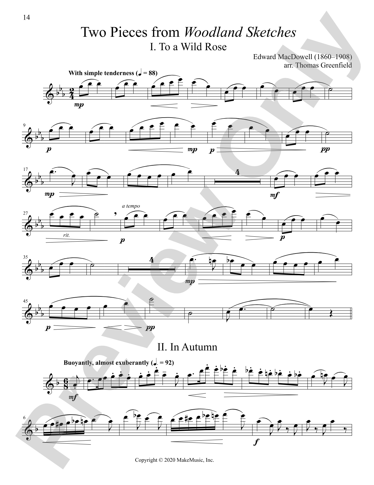 The Progressing Flute Soloist: Solo & Small Ensemble