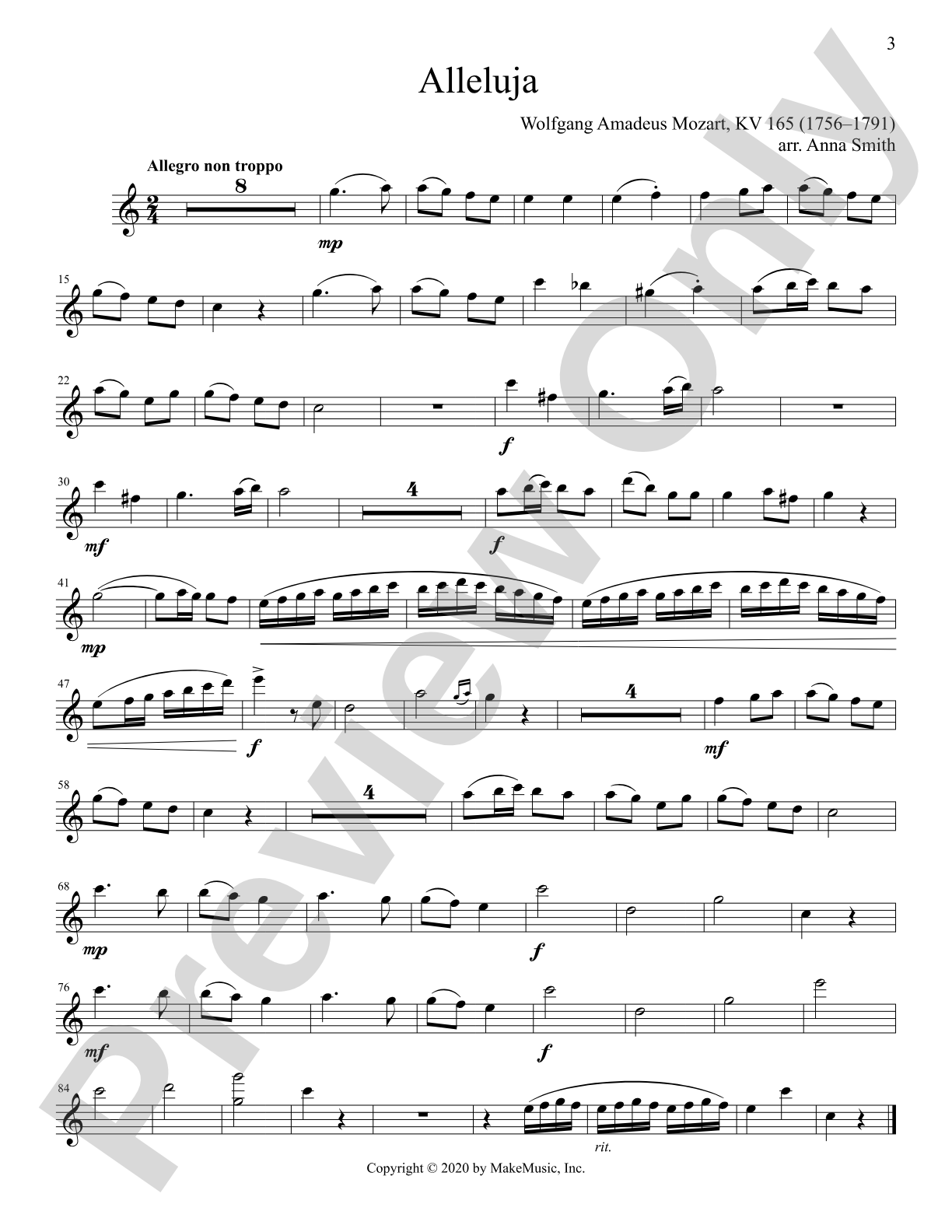 The Progressing Flute Soloist: Solo & Small Ensemble