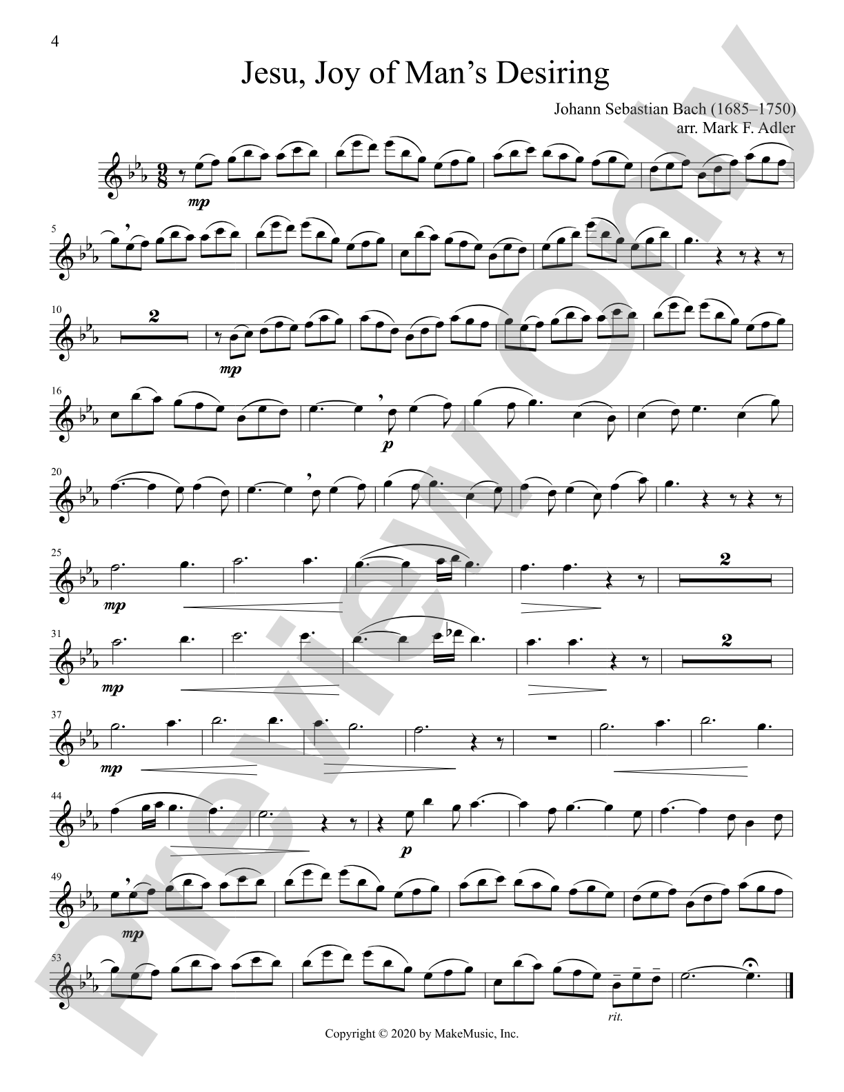The Progressing Flute Soloist: Solo & Small Ensemble