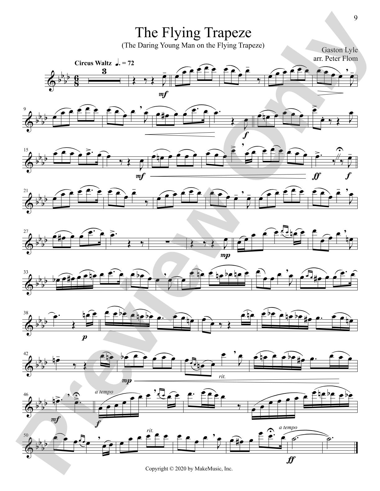 The Progressing Flute Soloist: Solo & Small Ensemble