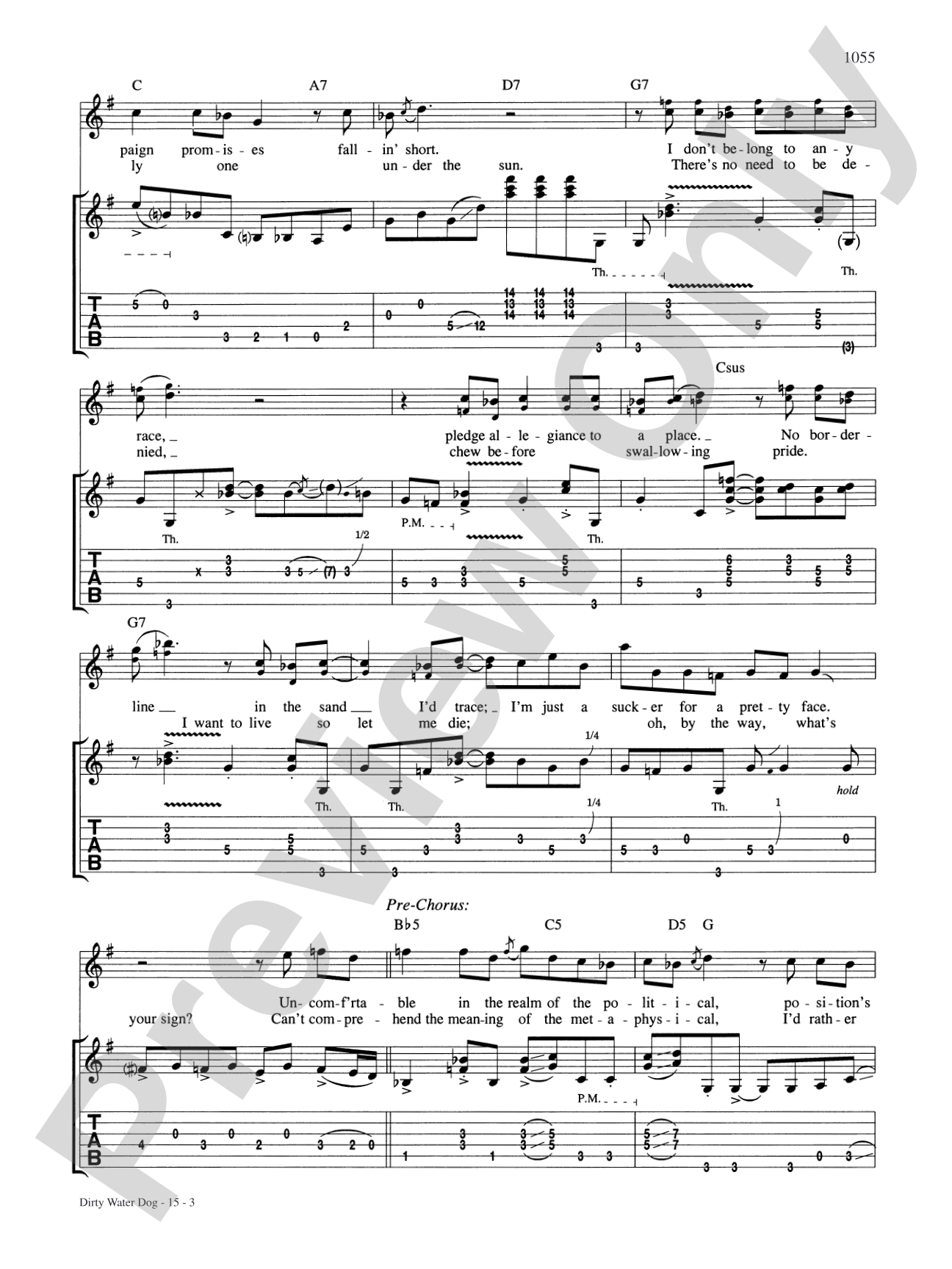 Dirty Water Dog: Authentic Guitar TAB