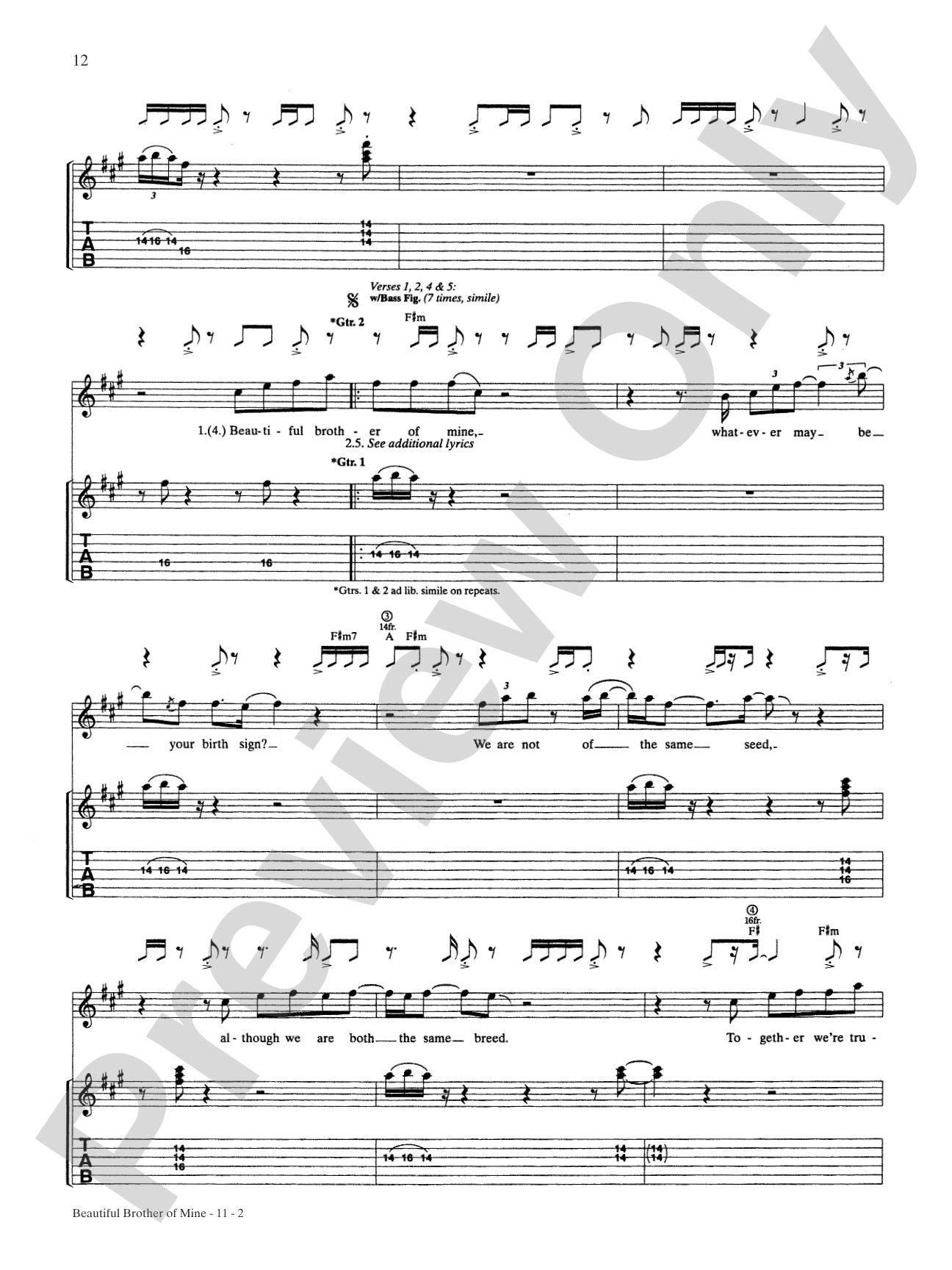 Beautiful Brother of Mine: Authentic Guitar TAB