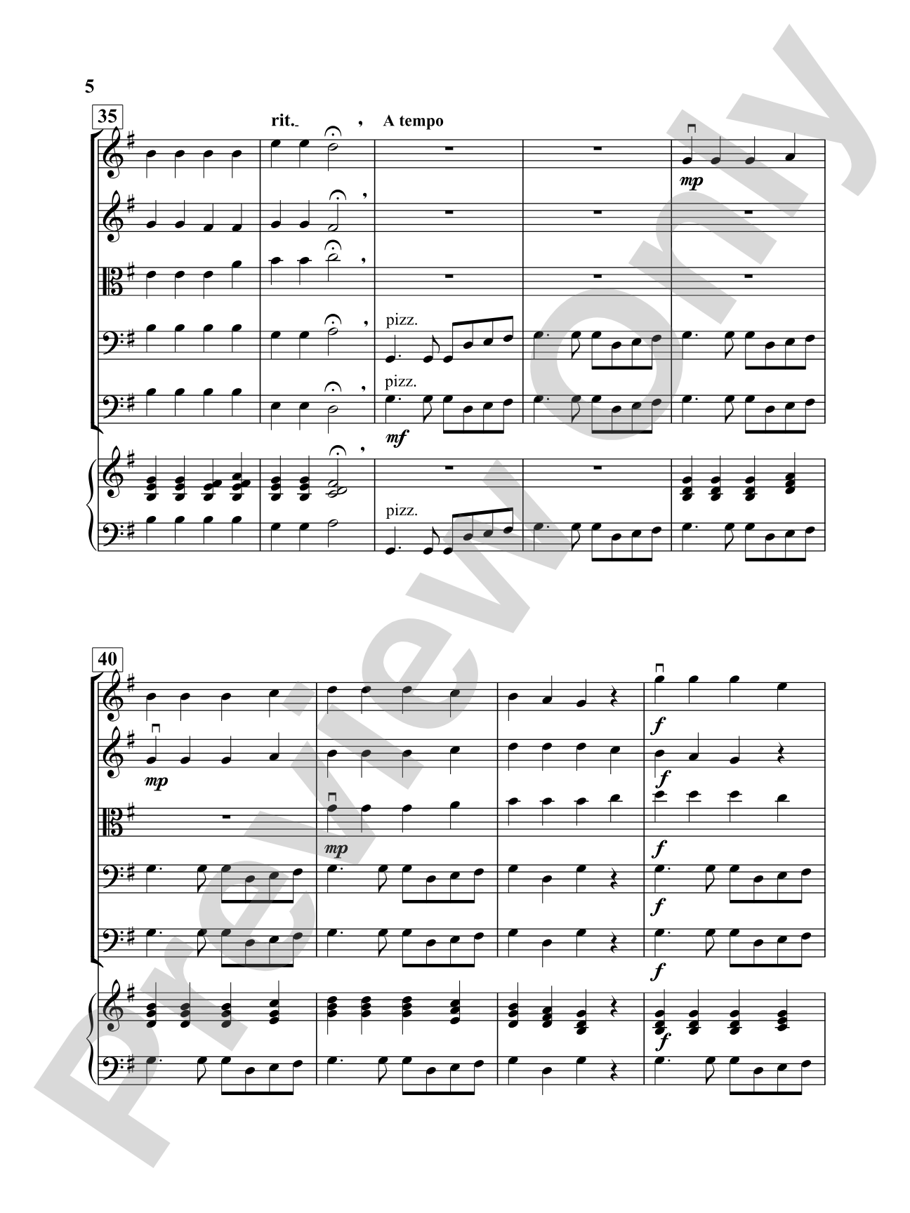 Koala Kanon: String Orchestra Conductor Score & Parts
