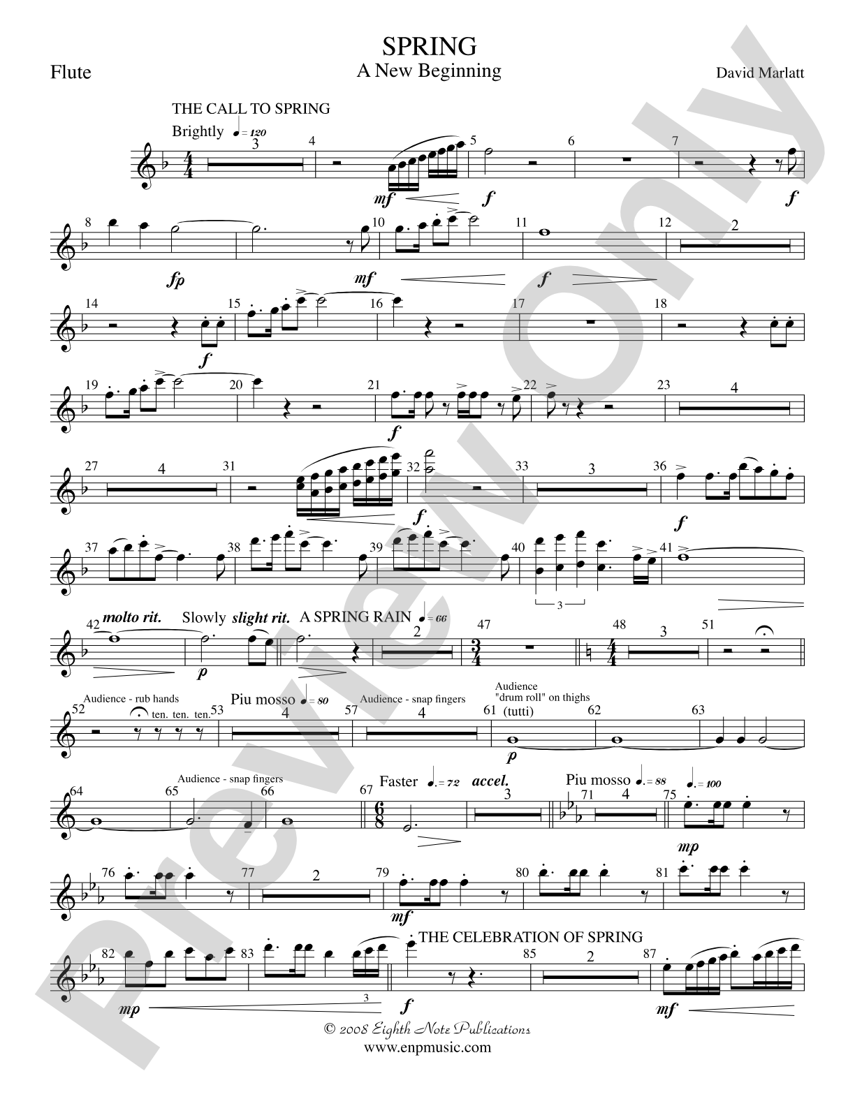Spring (A New Beginning): Flute