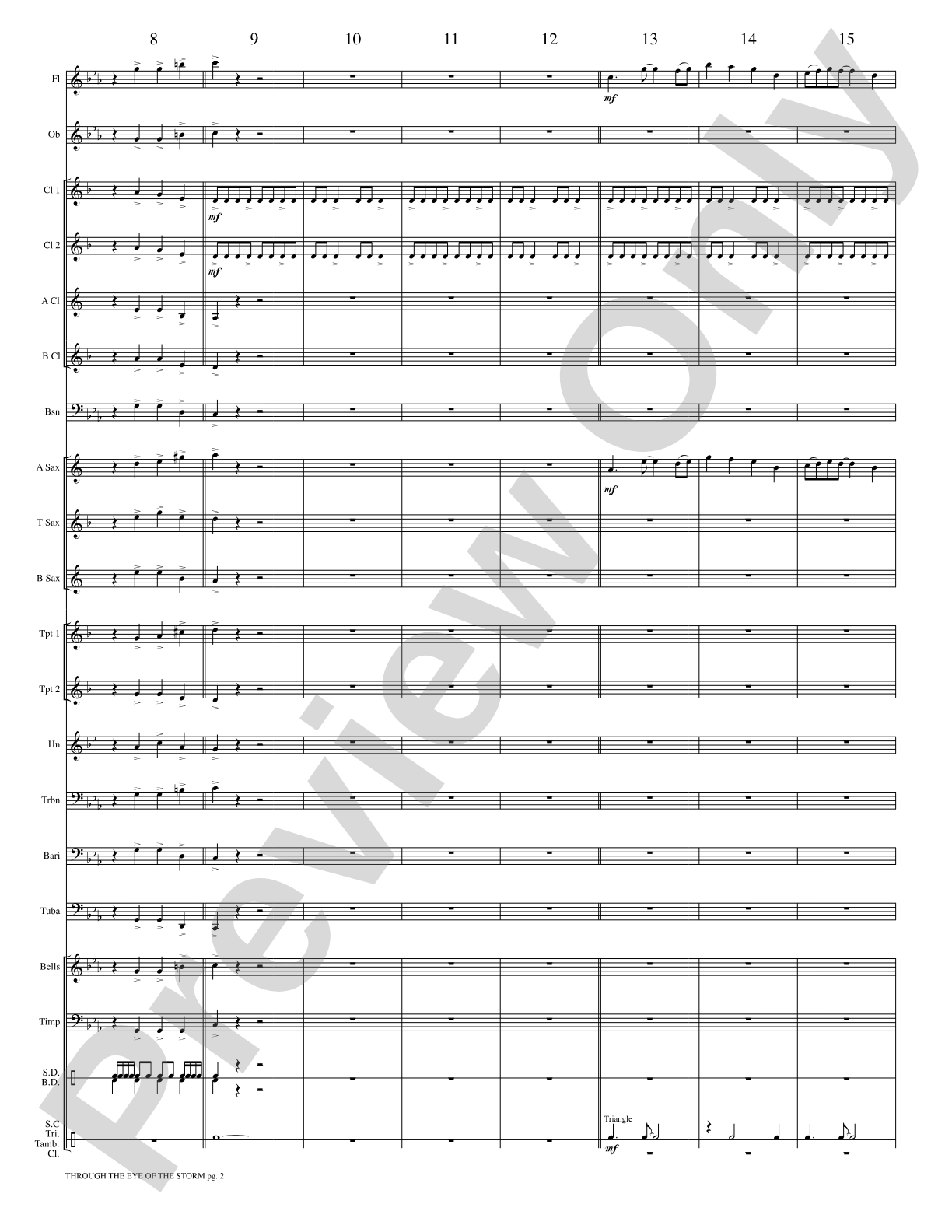 Through the Eye of the Storm: Concert Band Conductor Score & Parts