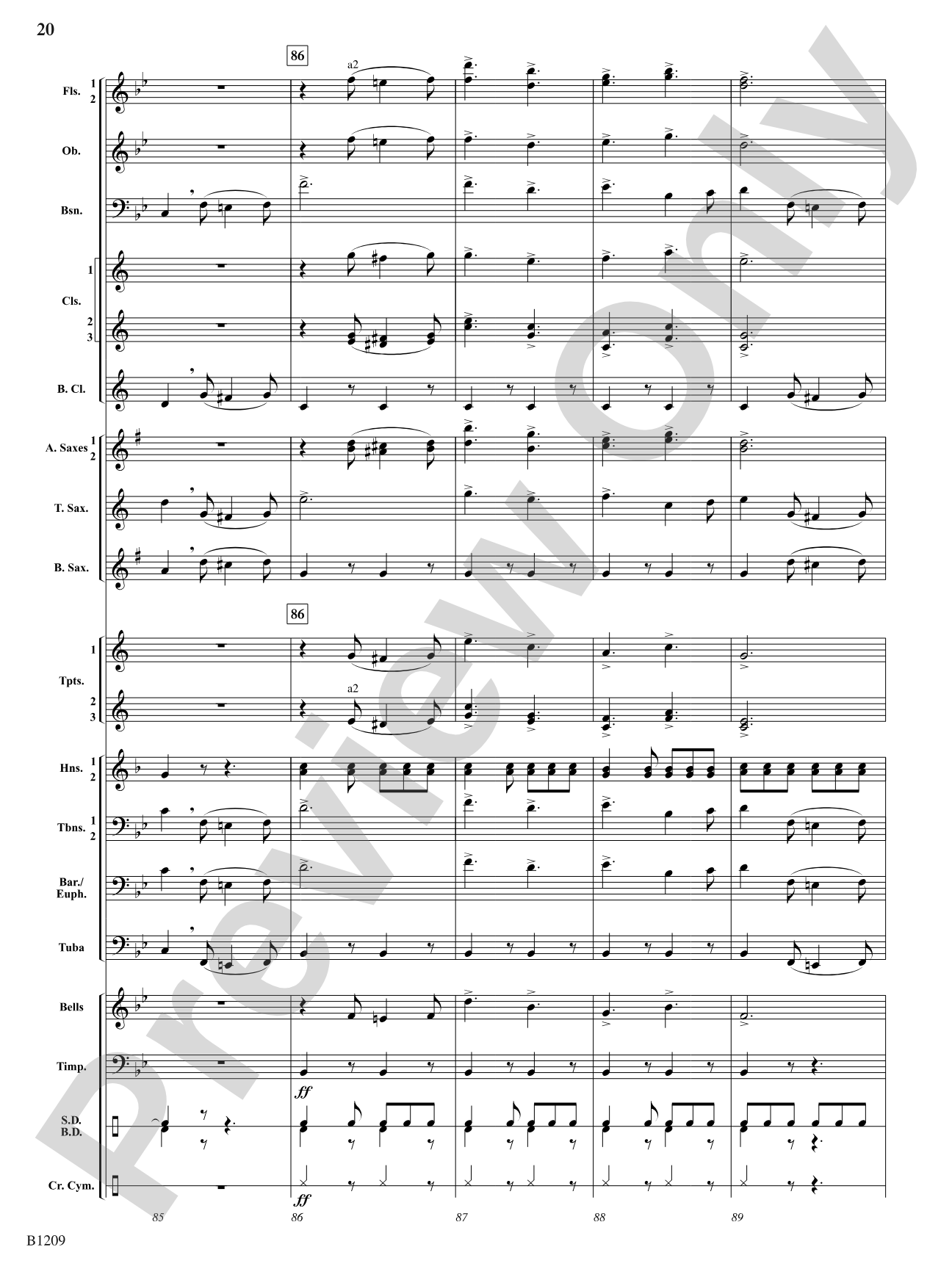 Tenth Regiment March: Concert Band Conductor Score & Parts