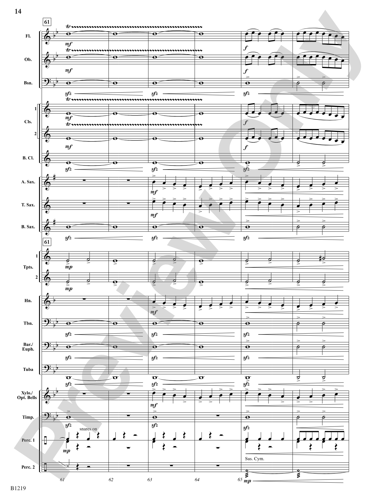 Storm Surge: Concert Band Conductor Score & Parts