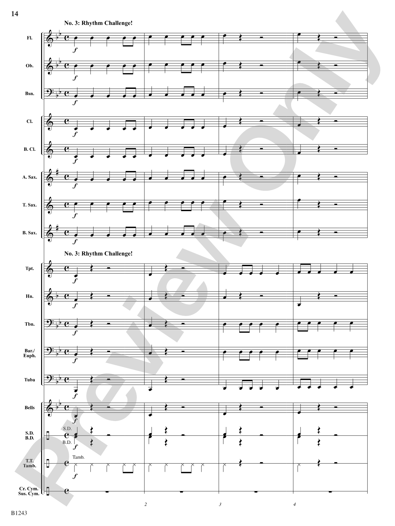 Rise to Power: Concert Band Conductor Score & Parts