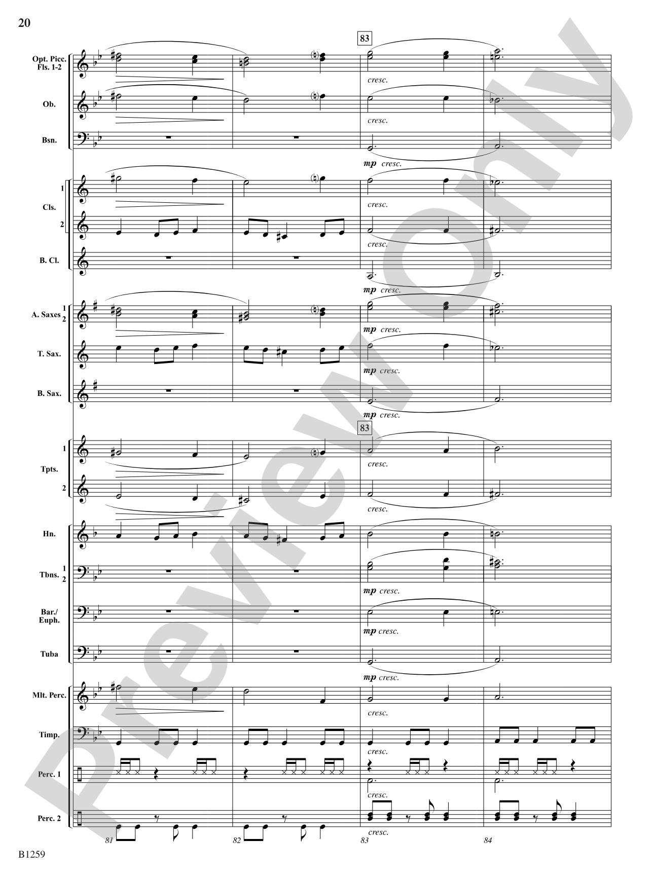 Chant and Savage Dance: Concert Band Conductor Score & Parts