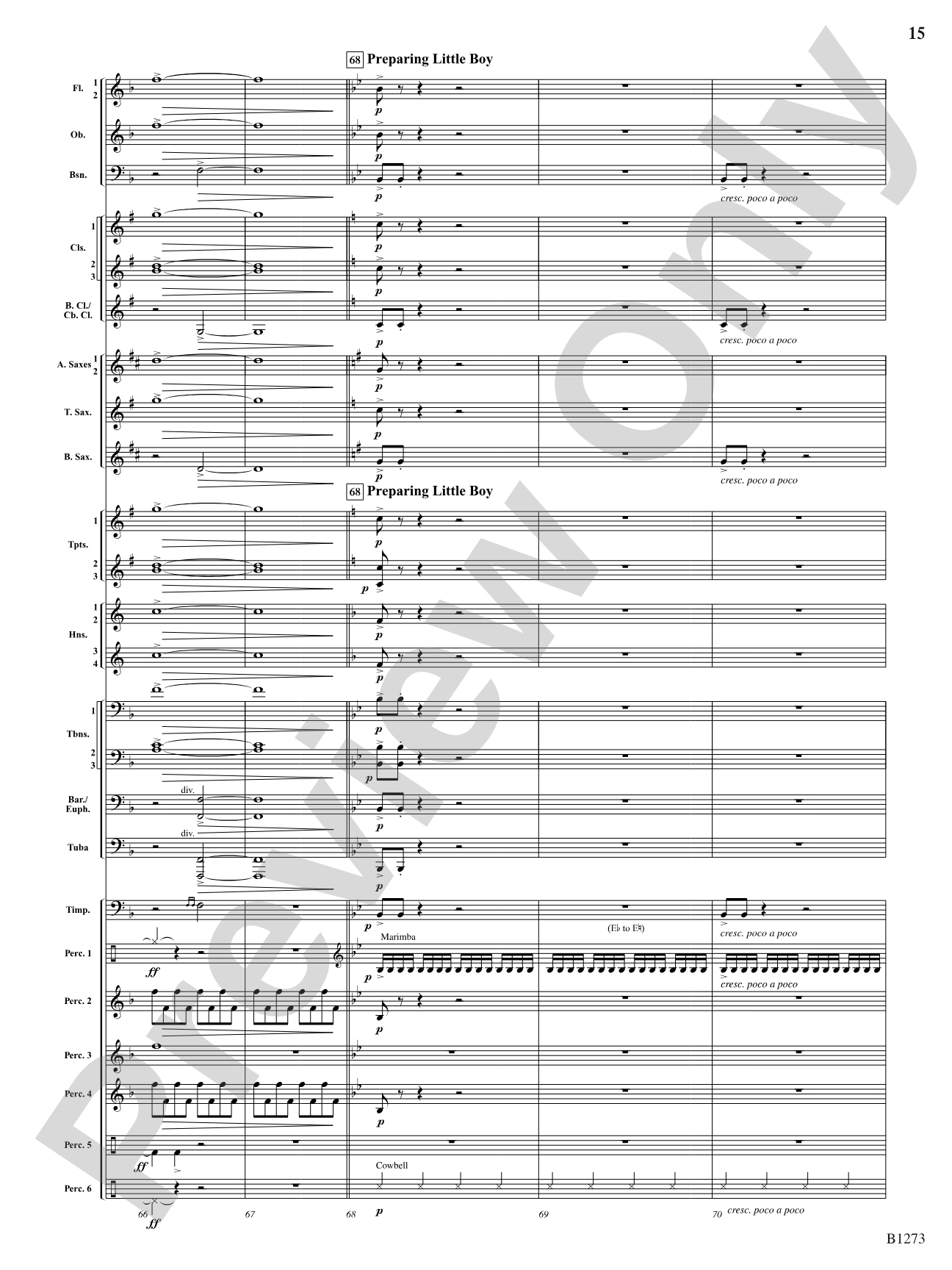 New Dawn: Concert Band Conductor Score & Parts