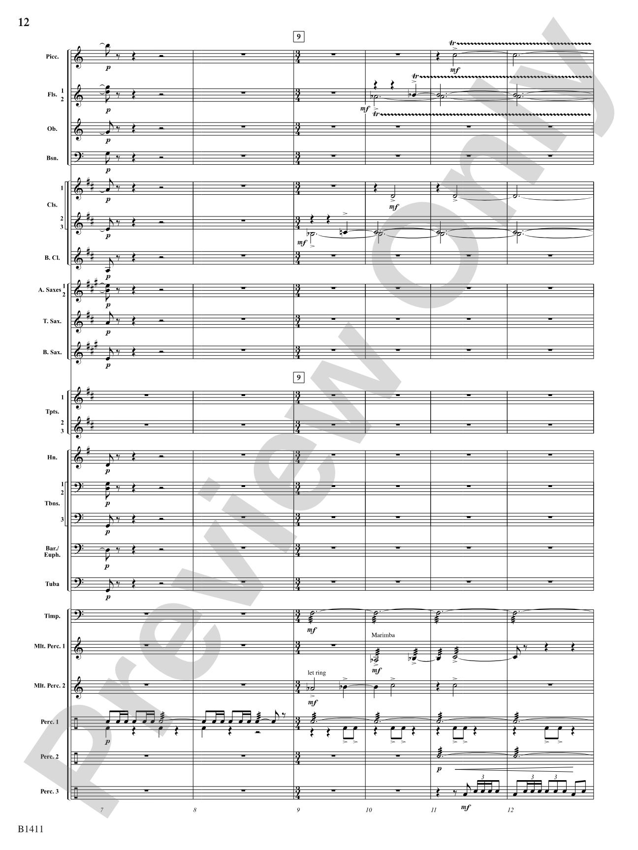 Pirates!: Concert Band Conductor Score & Parts