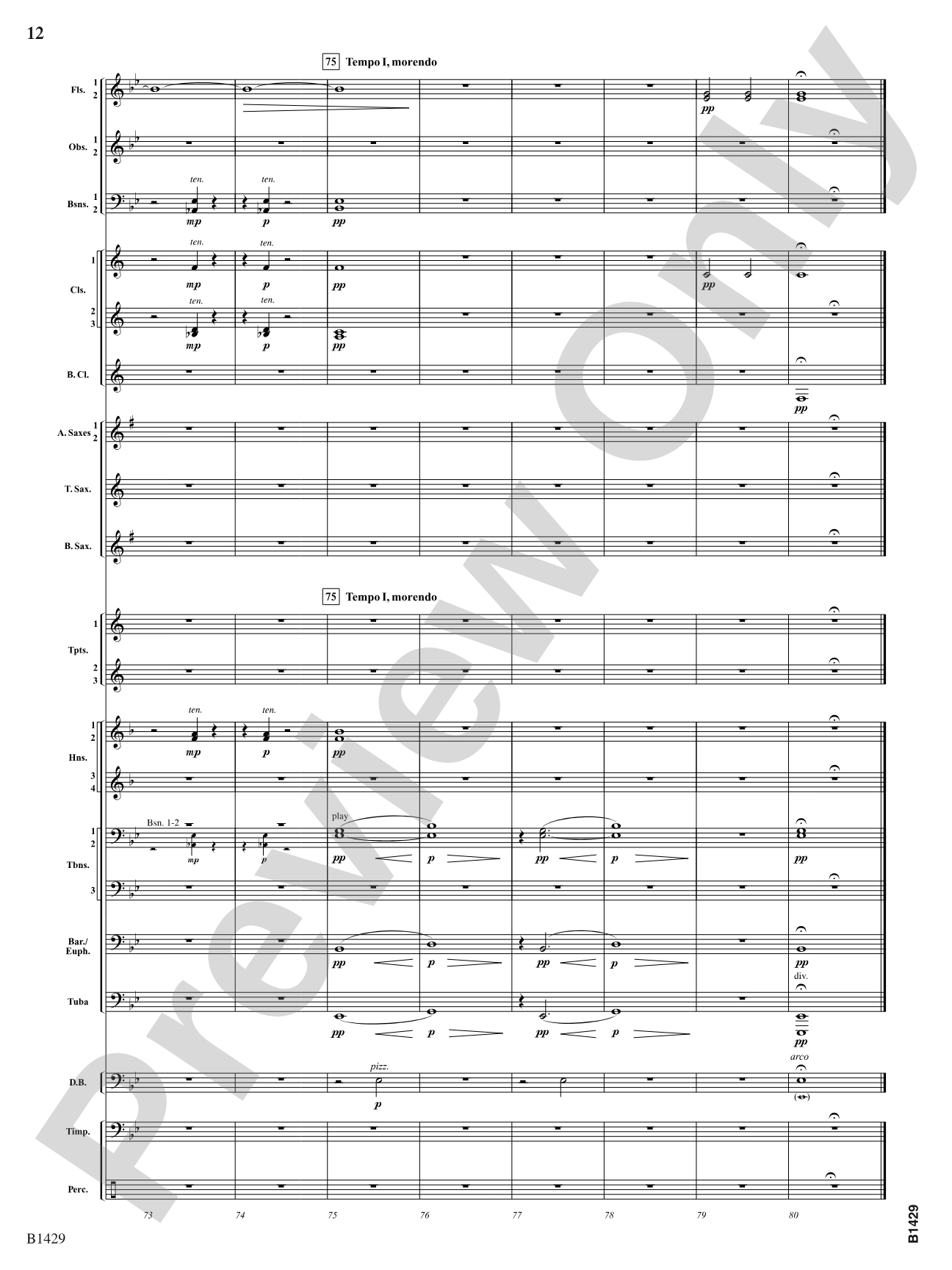 Silence Overwhelmed: Concert Band Conductor Score & Parts