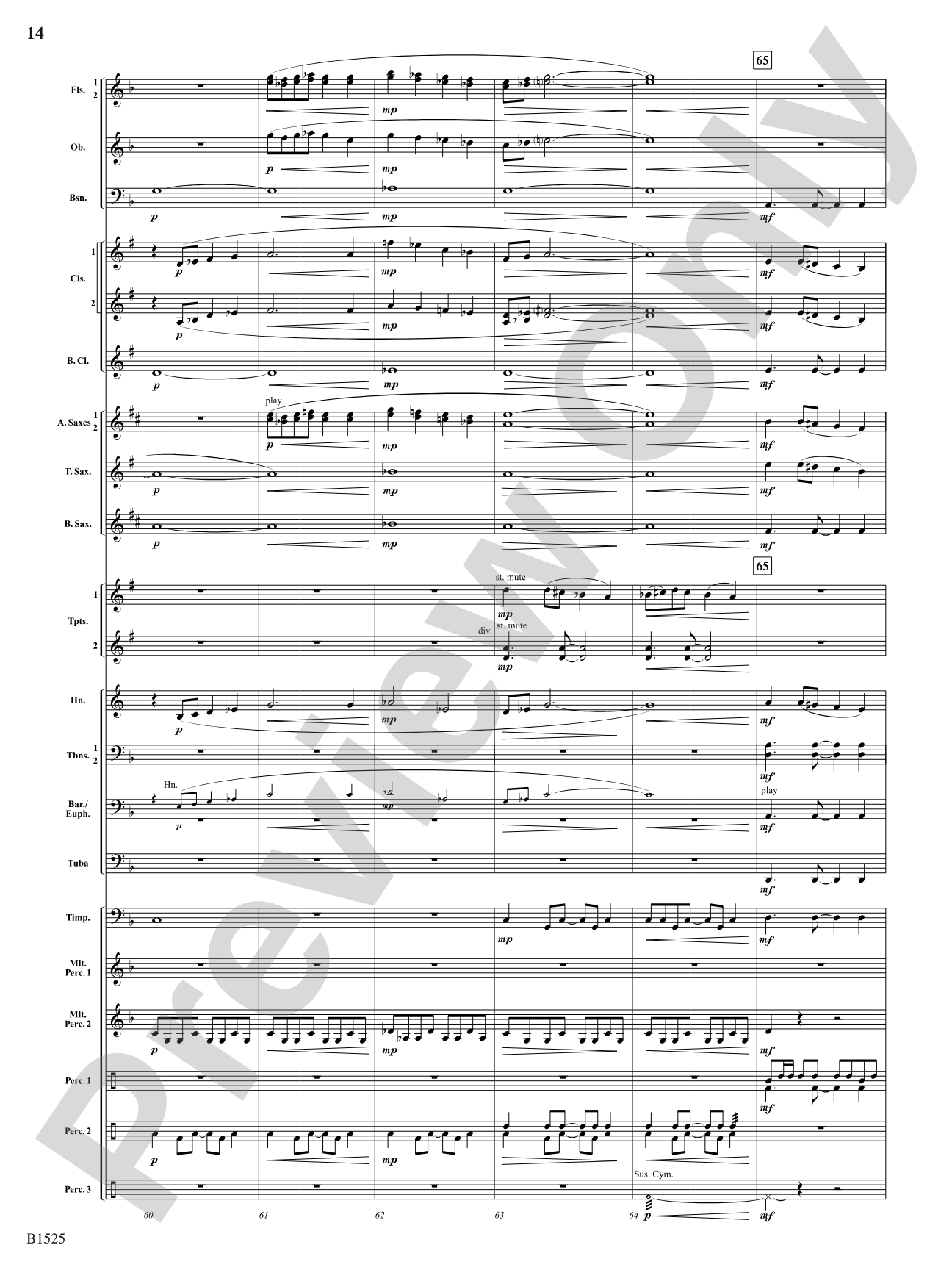 Sun Cycles: Concert Band Conductor Score & Parts