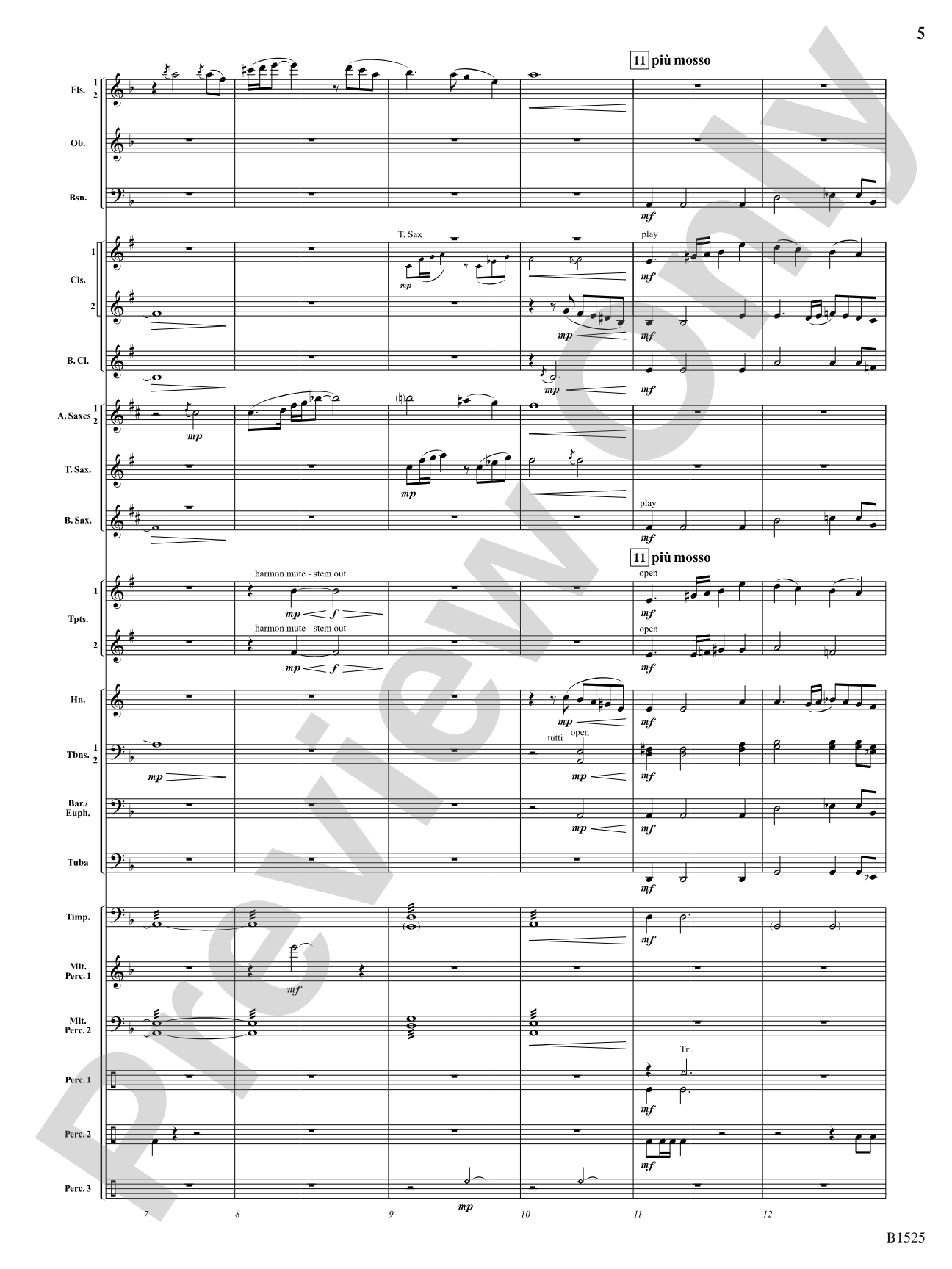 Sun Cycles: Concert Band Conductor Score & Parts