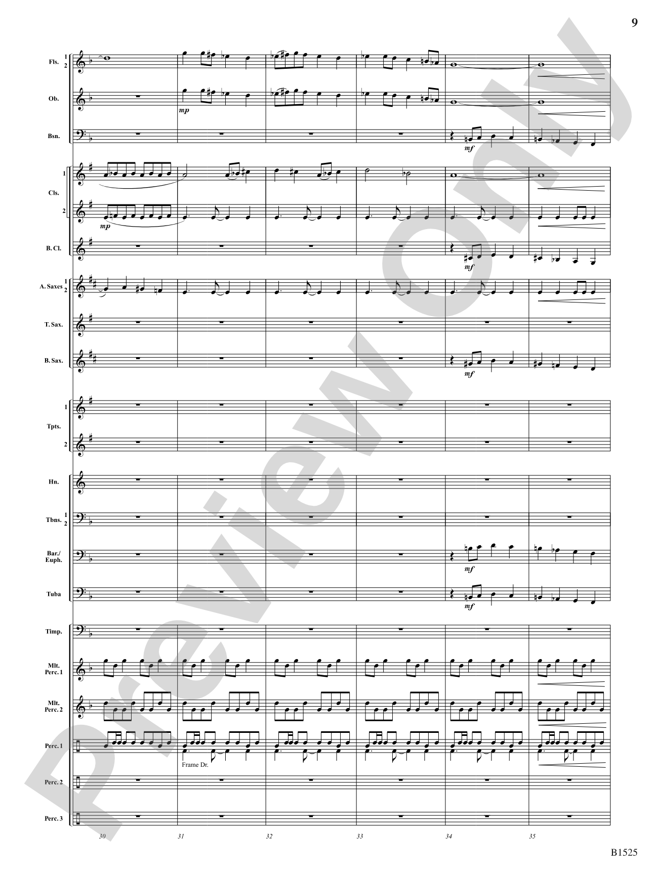Sun Cycles: Concert Band Conductor Score & Parts