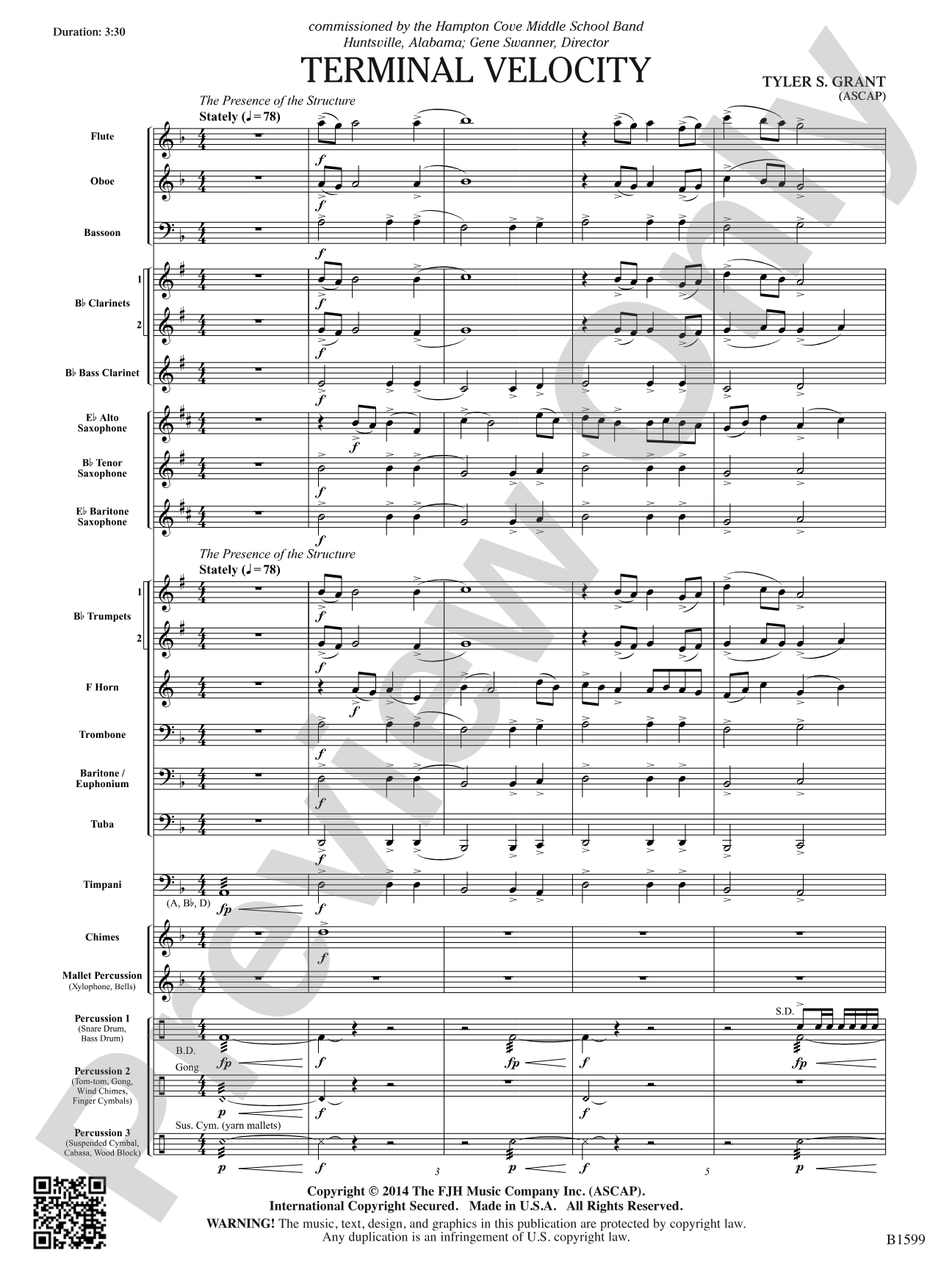 Terminal Velocity: Score