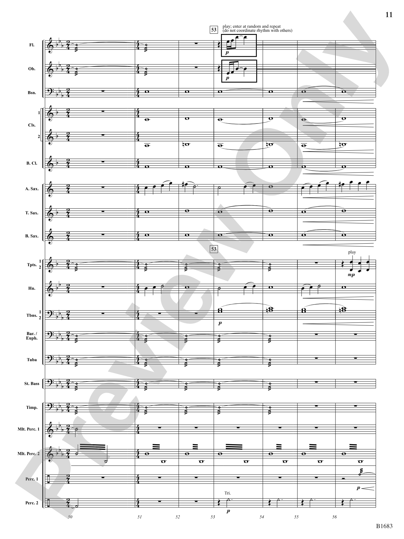 Resplendent Light: Concert Band Conductor Score & Parts