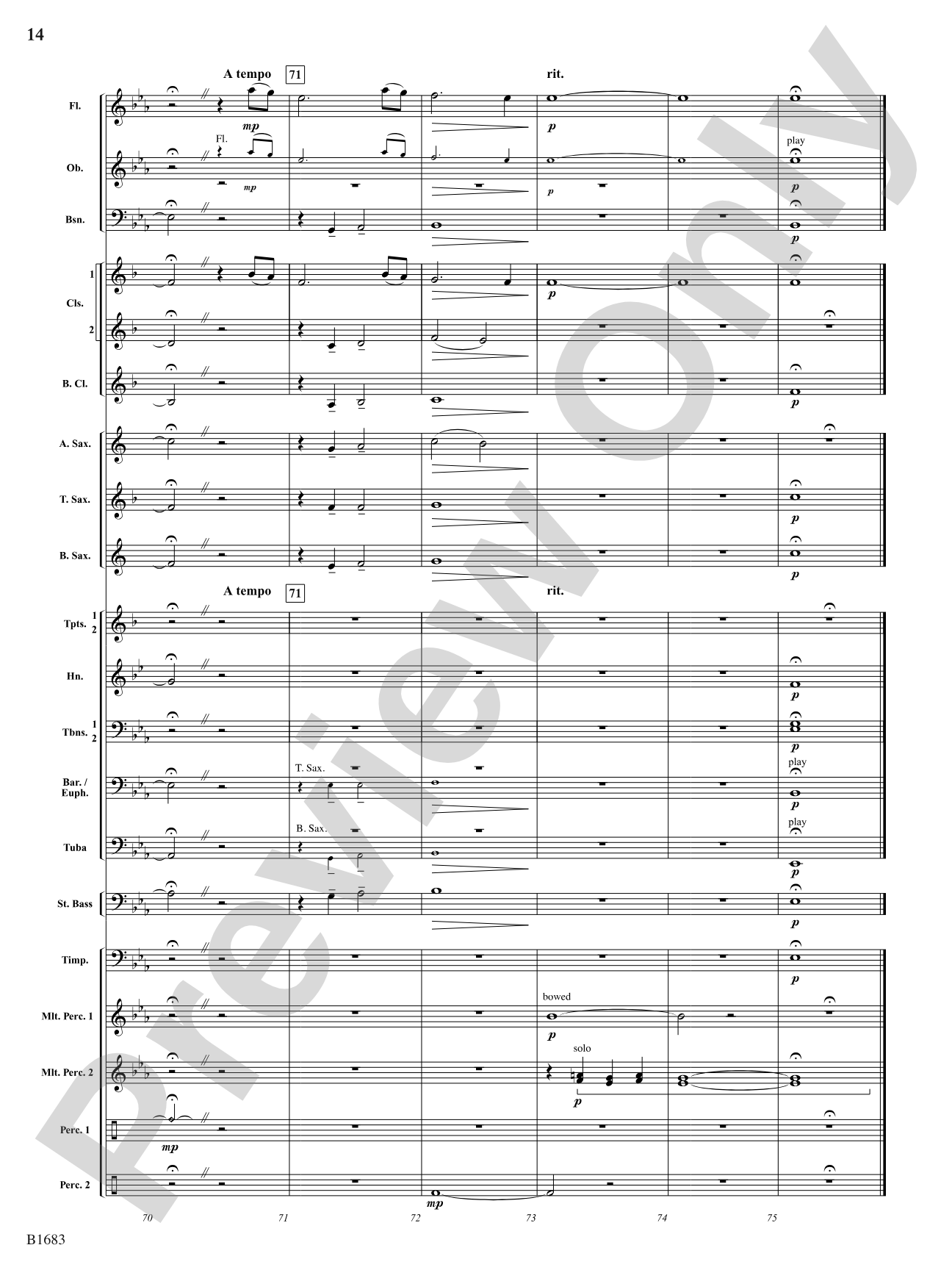 Resplendent Light: Concert Band Conductor Score & Parts