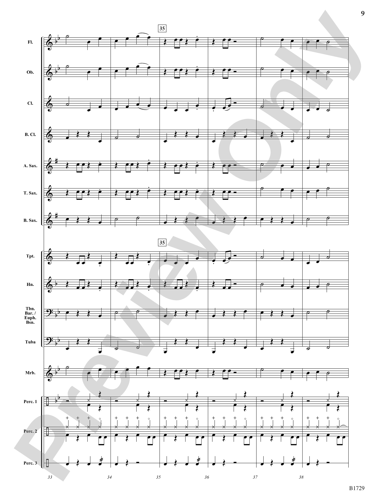 No Worries: Concert Band Conductor Score & Parts