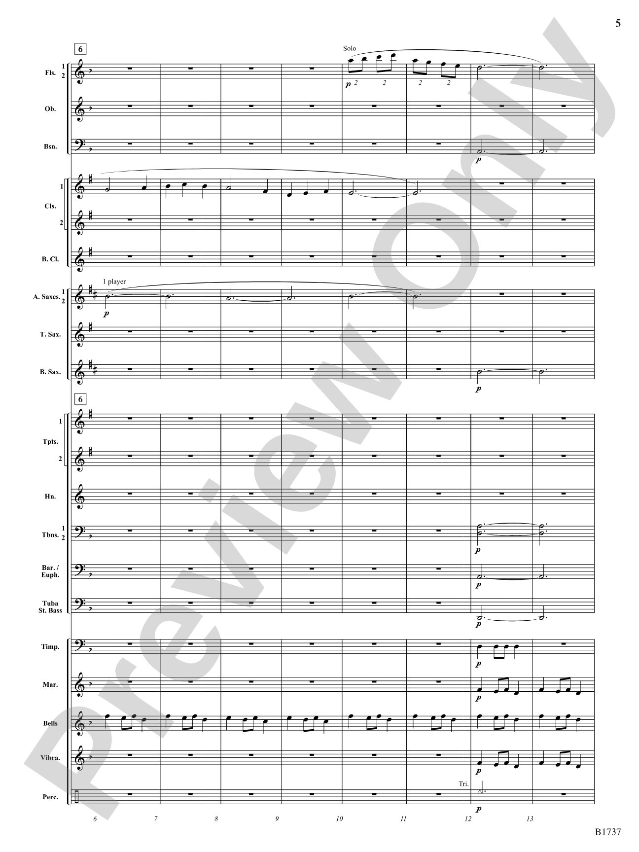 A Solitary Wish: Concert Band Conductor Score & Parts