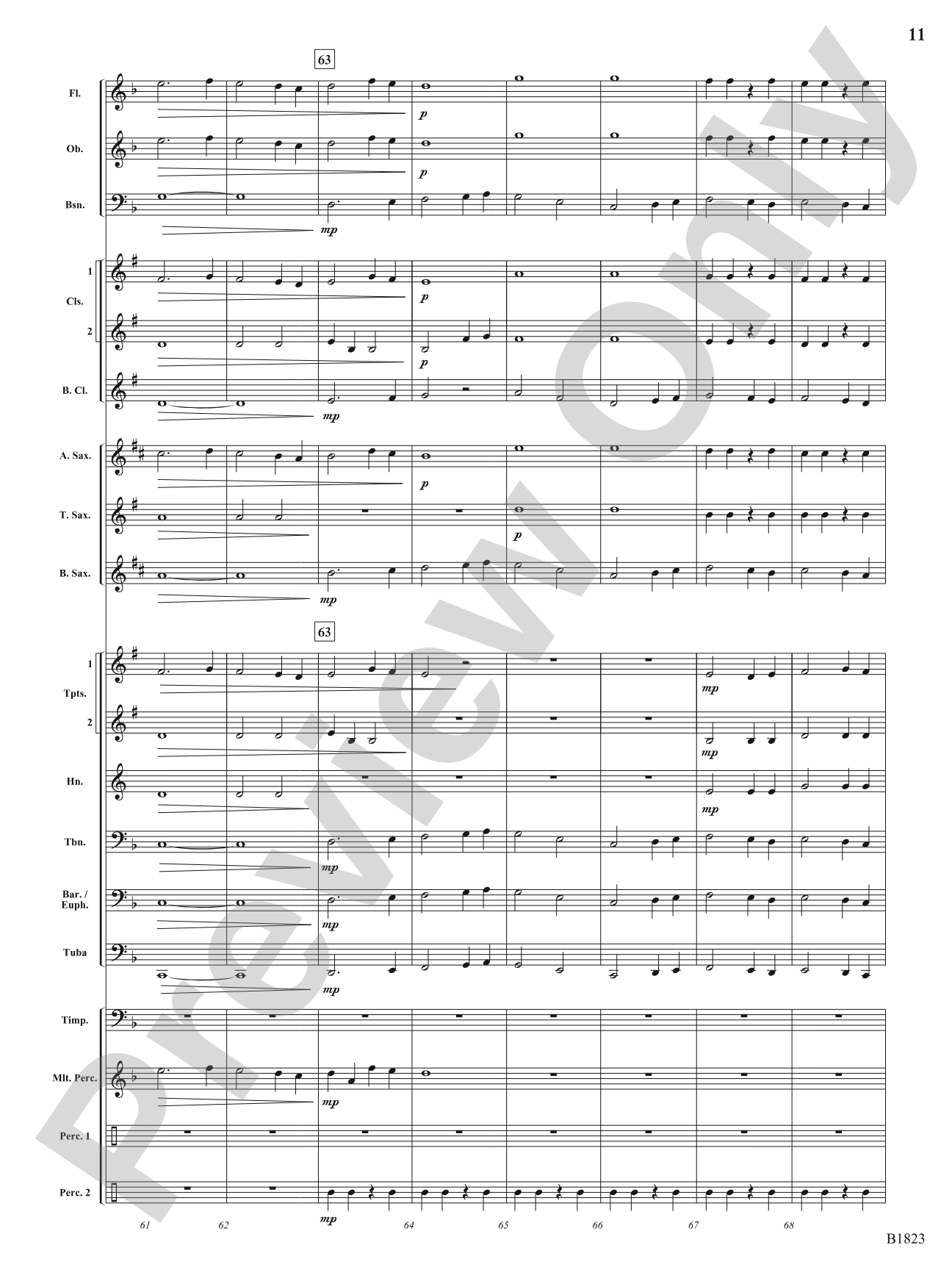 Storm: Concert Band Conductor Score & Parts
