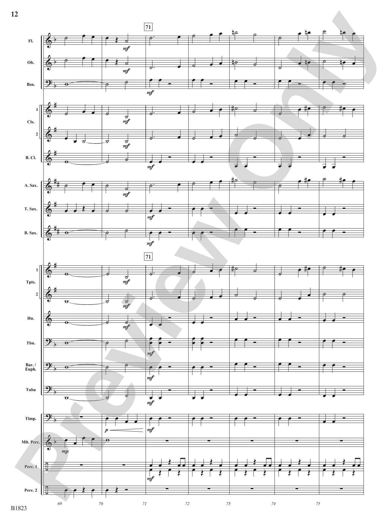 Storm: Concert Band Conductor Score & Parts