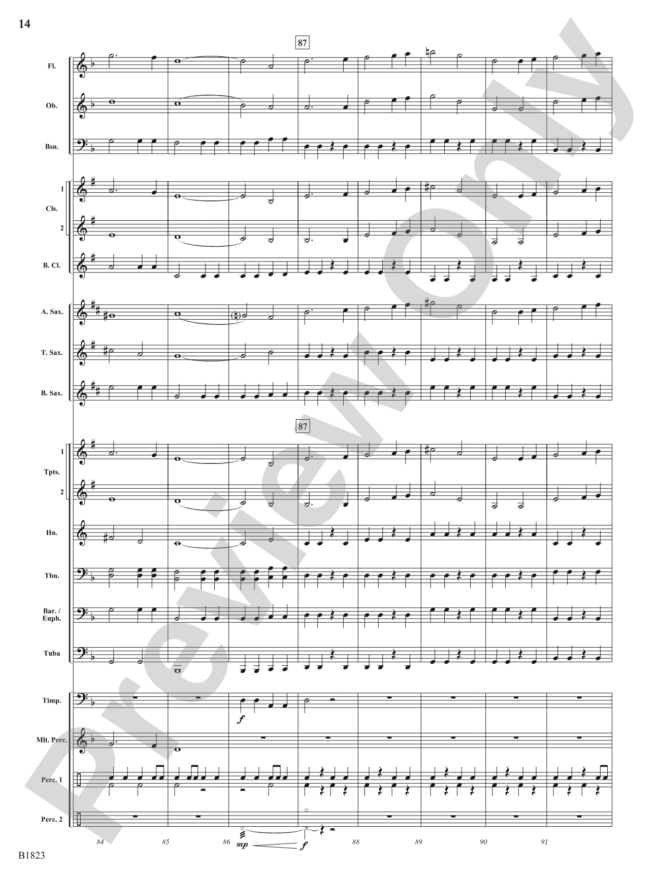Storm: Concert Band Conductor Score & Parts