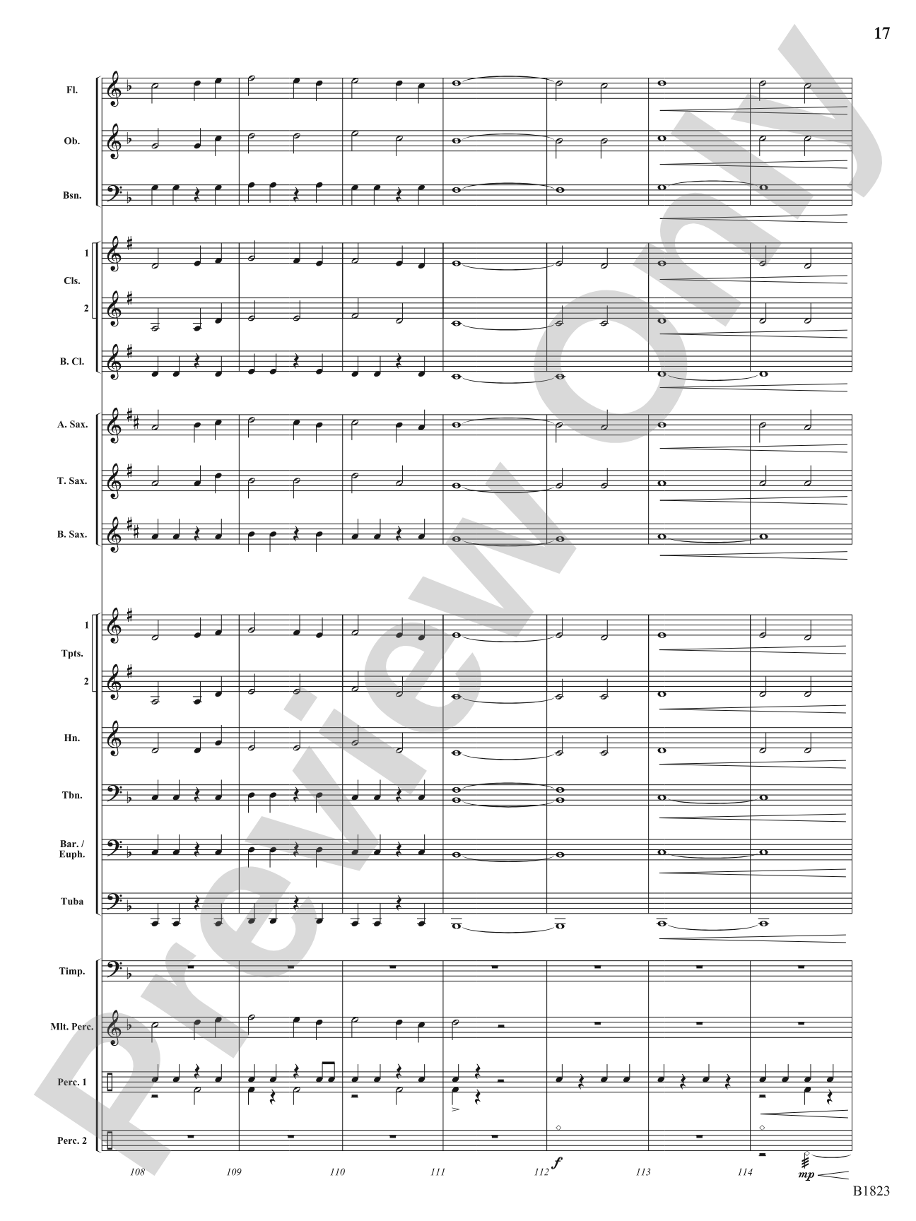 Storm: Concert Band Conductor Score & Parts