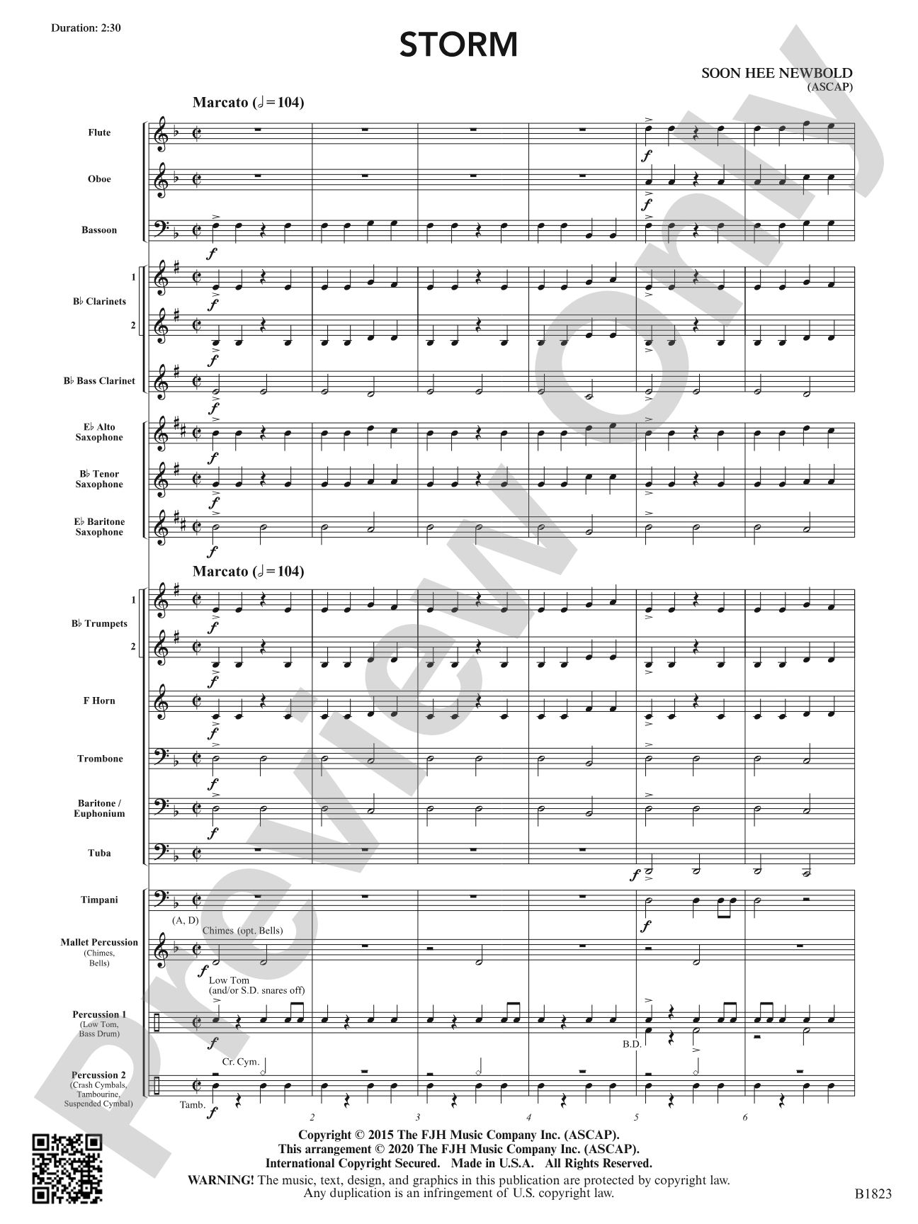 Storm: Concert Band Conductor Score & Parts