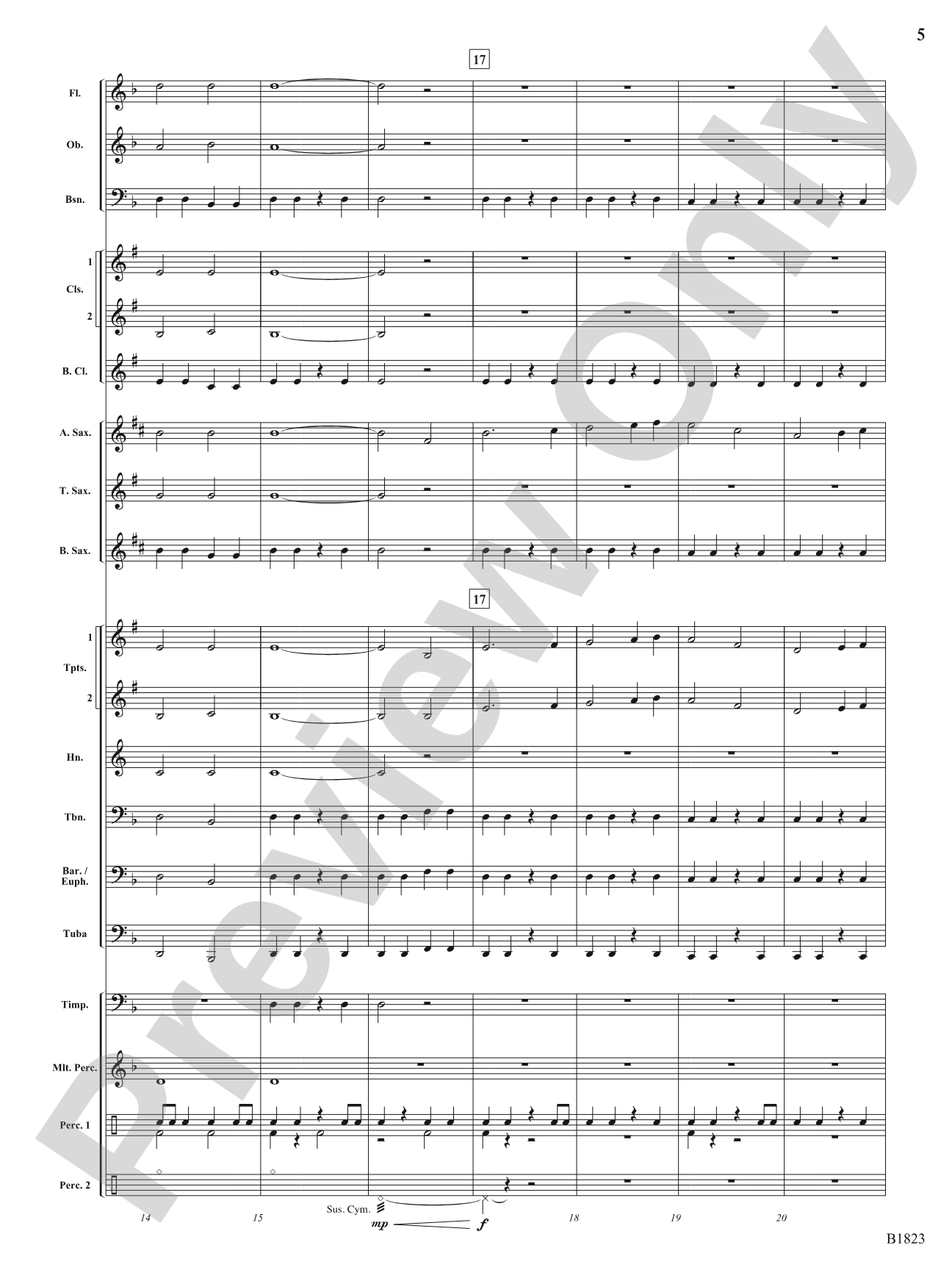 Storm: Concert Band Conductor Score & Parts