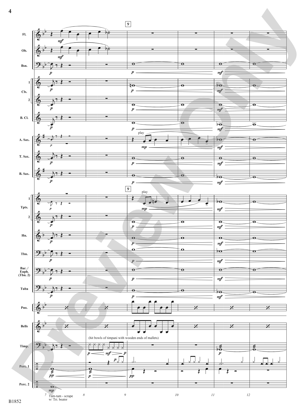 Nebula: Concert Band Conductor Score & Parts