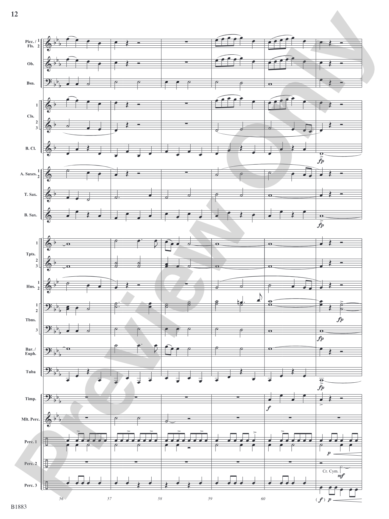 The Wellerman Come: Concert Band Conductor Score & Parts