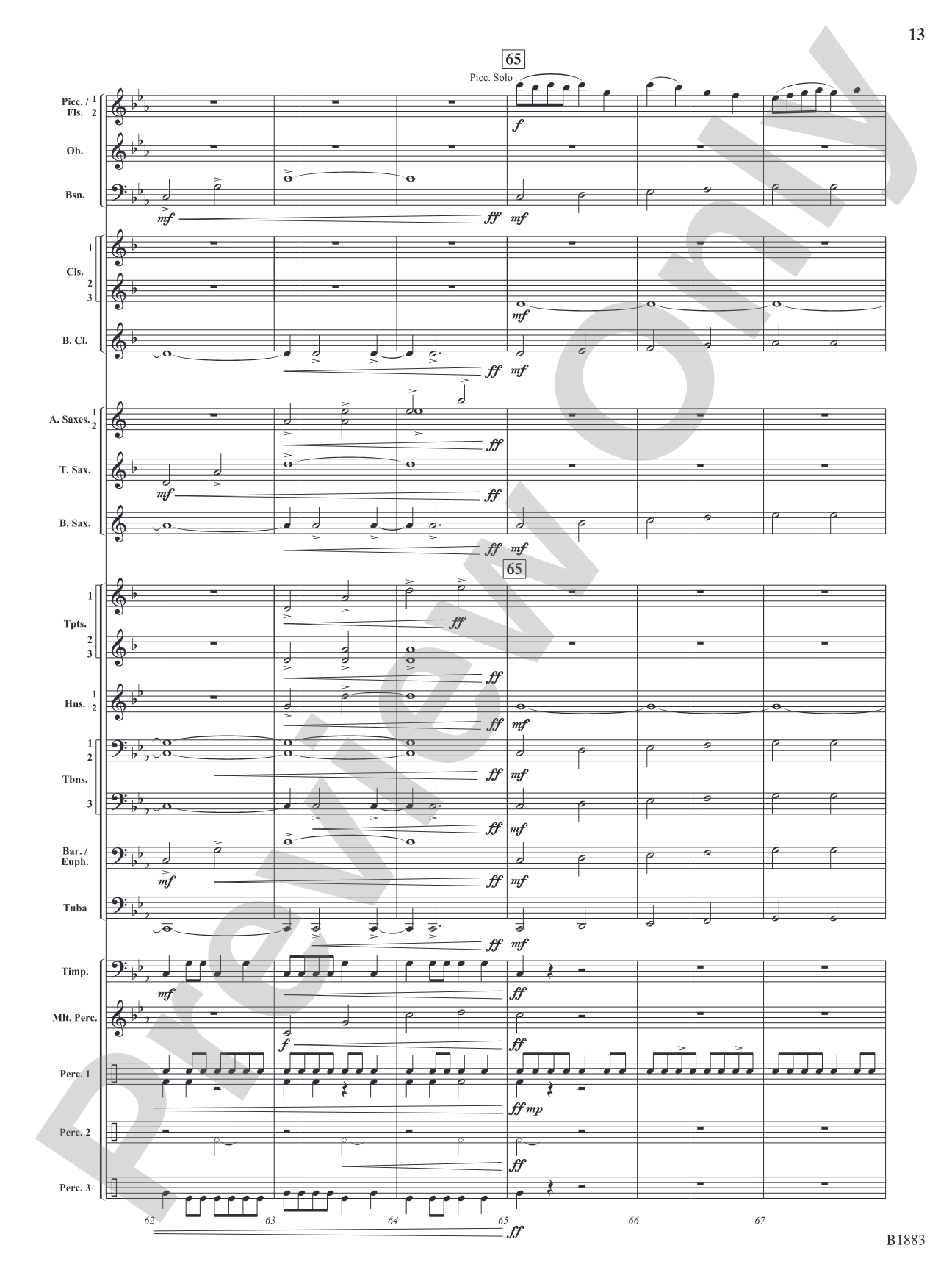 The Wellerman Come: Concert Band Conductor Score & Parts