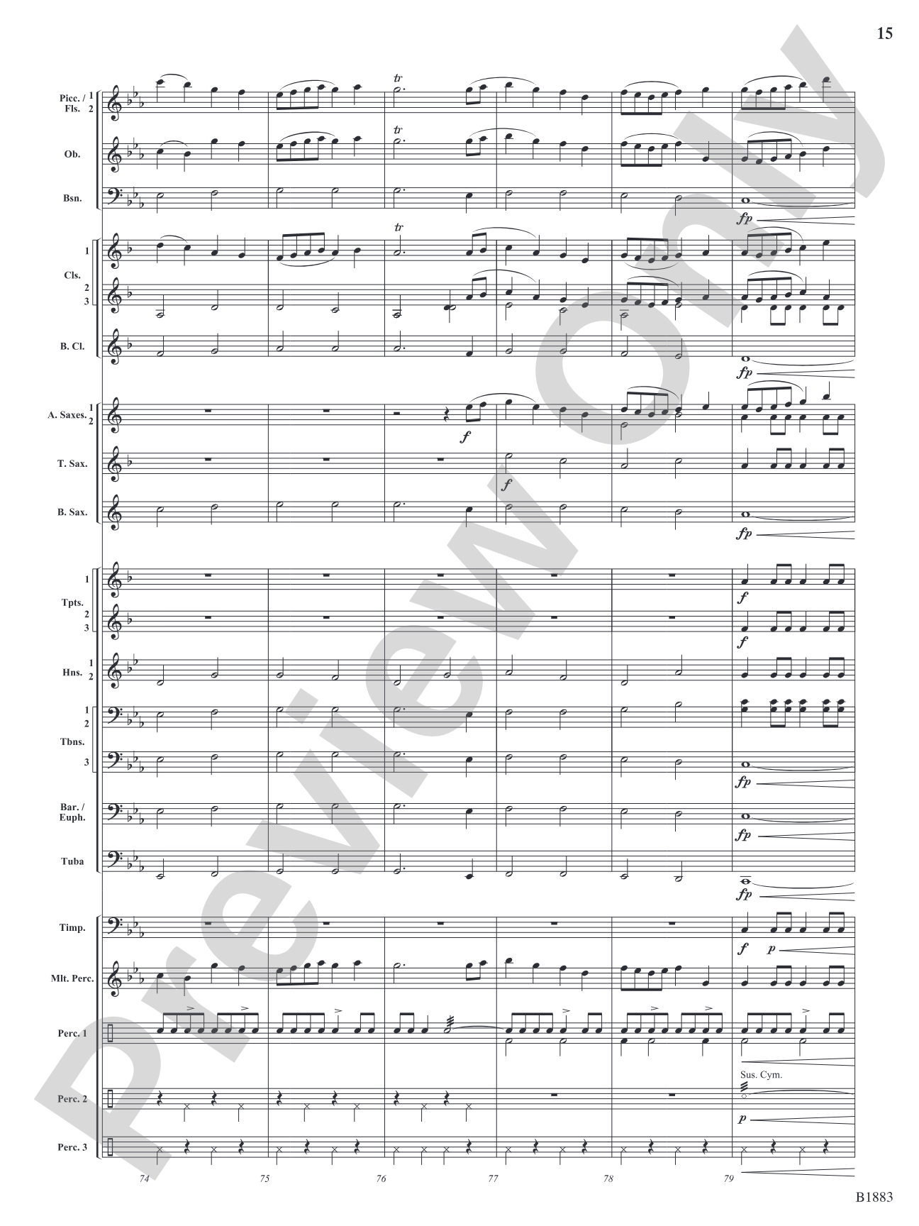 The Wellerman Come: Concert Band Conductor Score & Parts