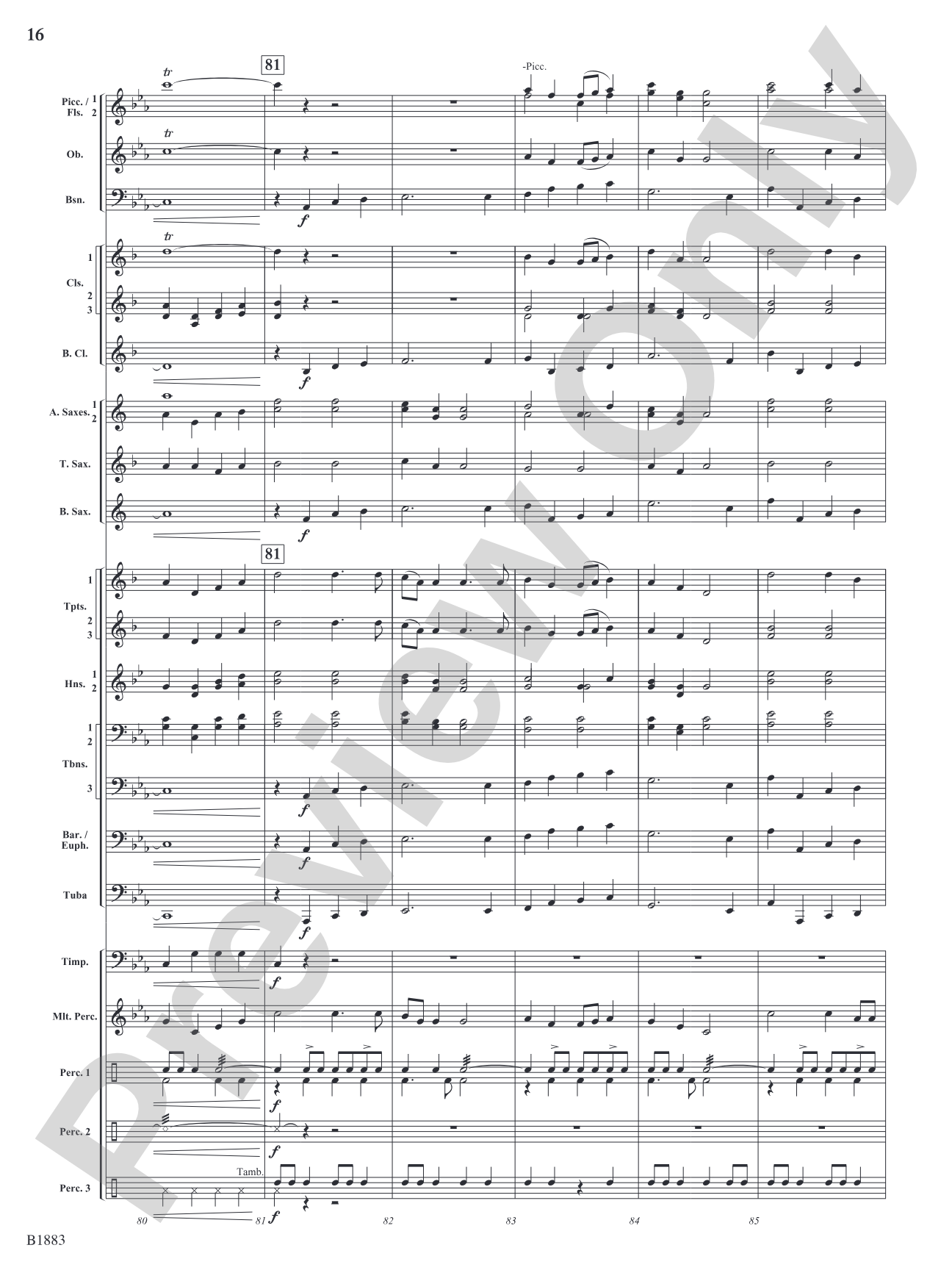 The Wellerman Come: Concert Band Conductor Score & Parts