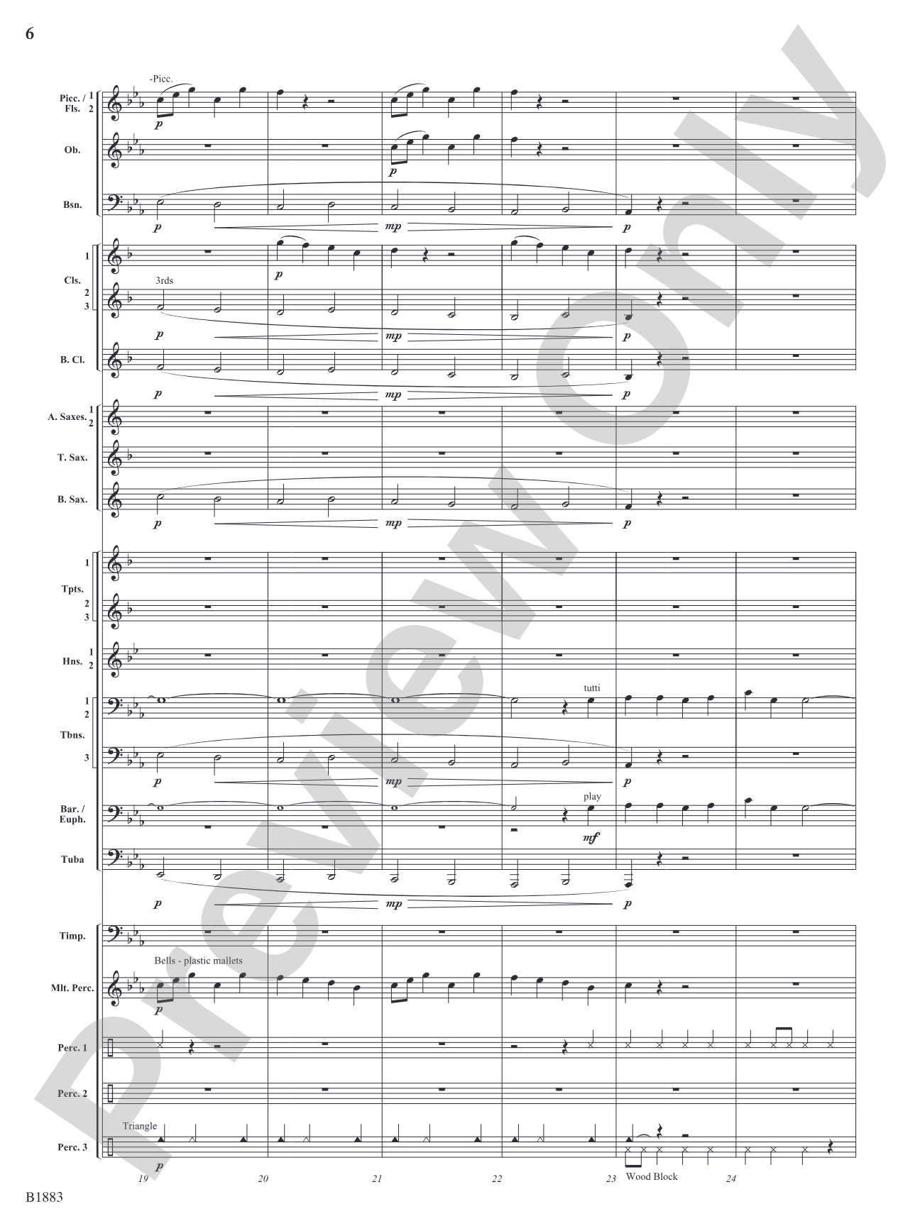 The Wellerman Come: Concert Band Conductor Score & Parts